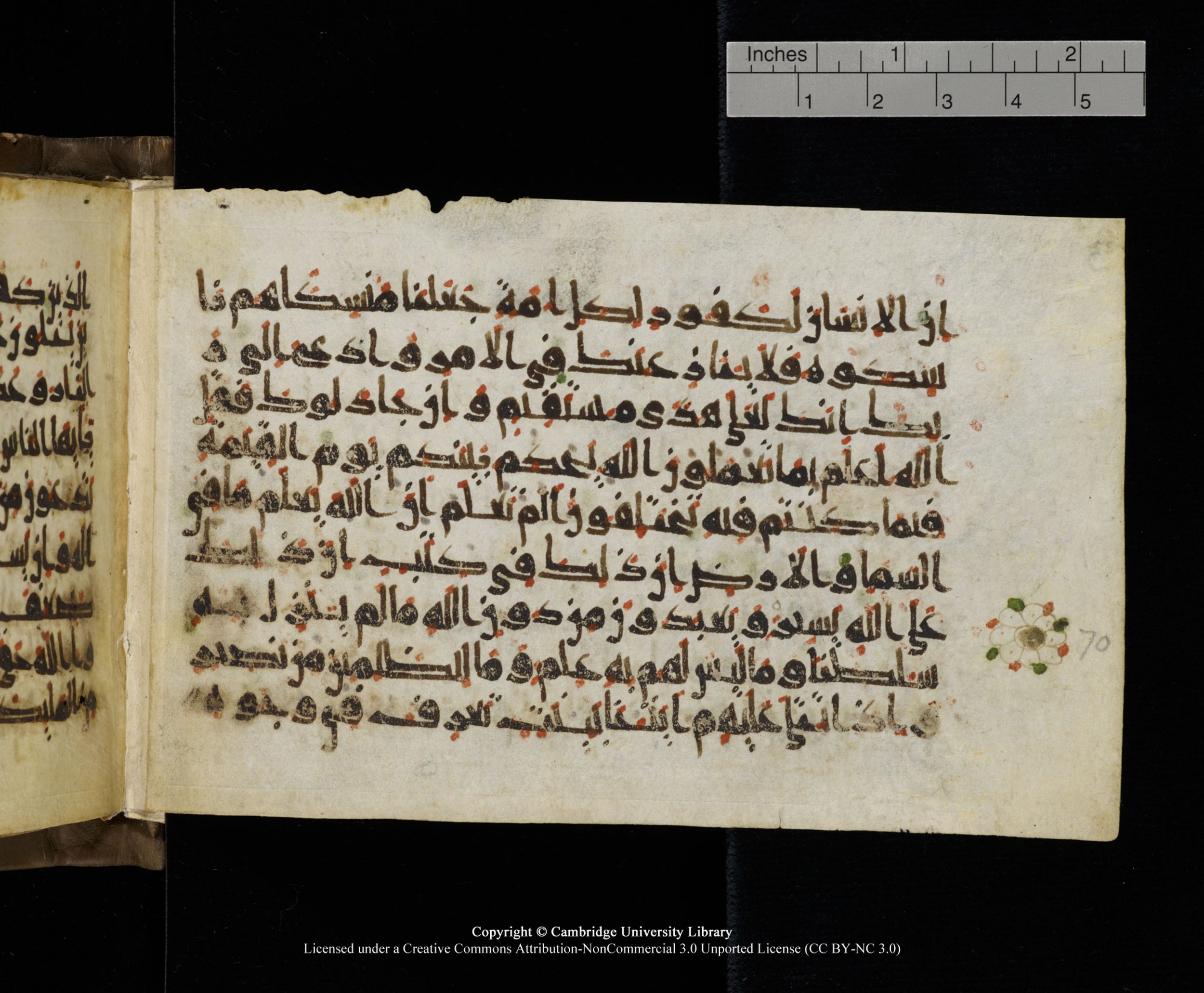 Cambridge MS Add.1137, in kūfī E script, showing Surah 22:71 from 9th or 10th Century AD found in Sinai Peninsula, Egypt, currently housed at Cambridge University Library, Cambridge