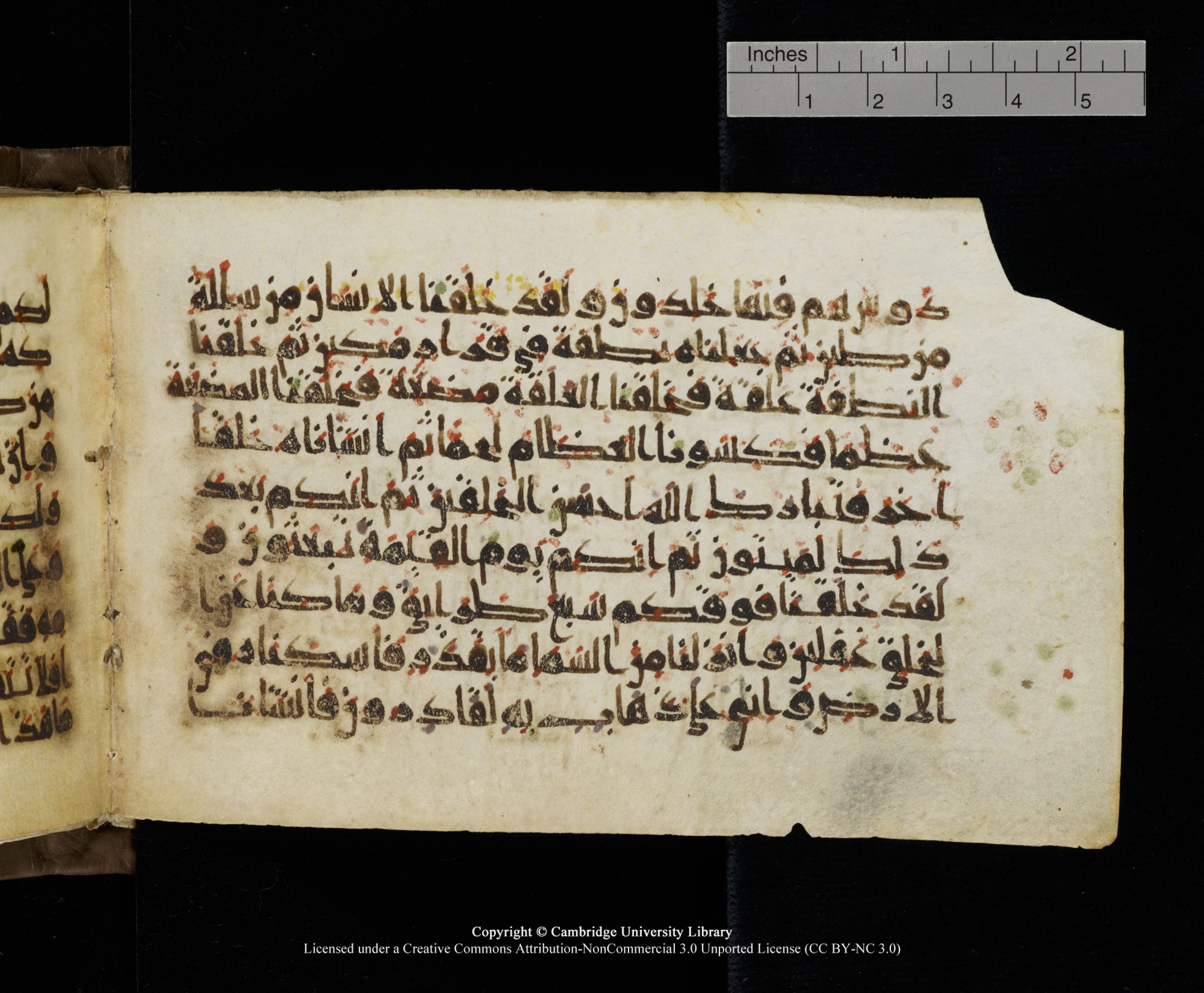 Cambridge MS Add.1137, in kūfī E script, showing Surah 23:13 from 9th or 10th Century AD found in Sinai Peninsula, Egypt, currently housed at Cambridge University Library, Cambridge