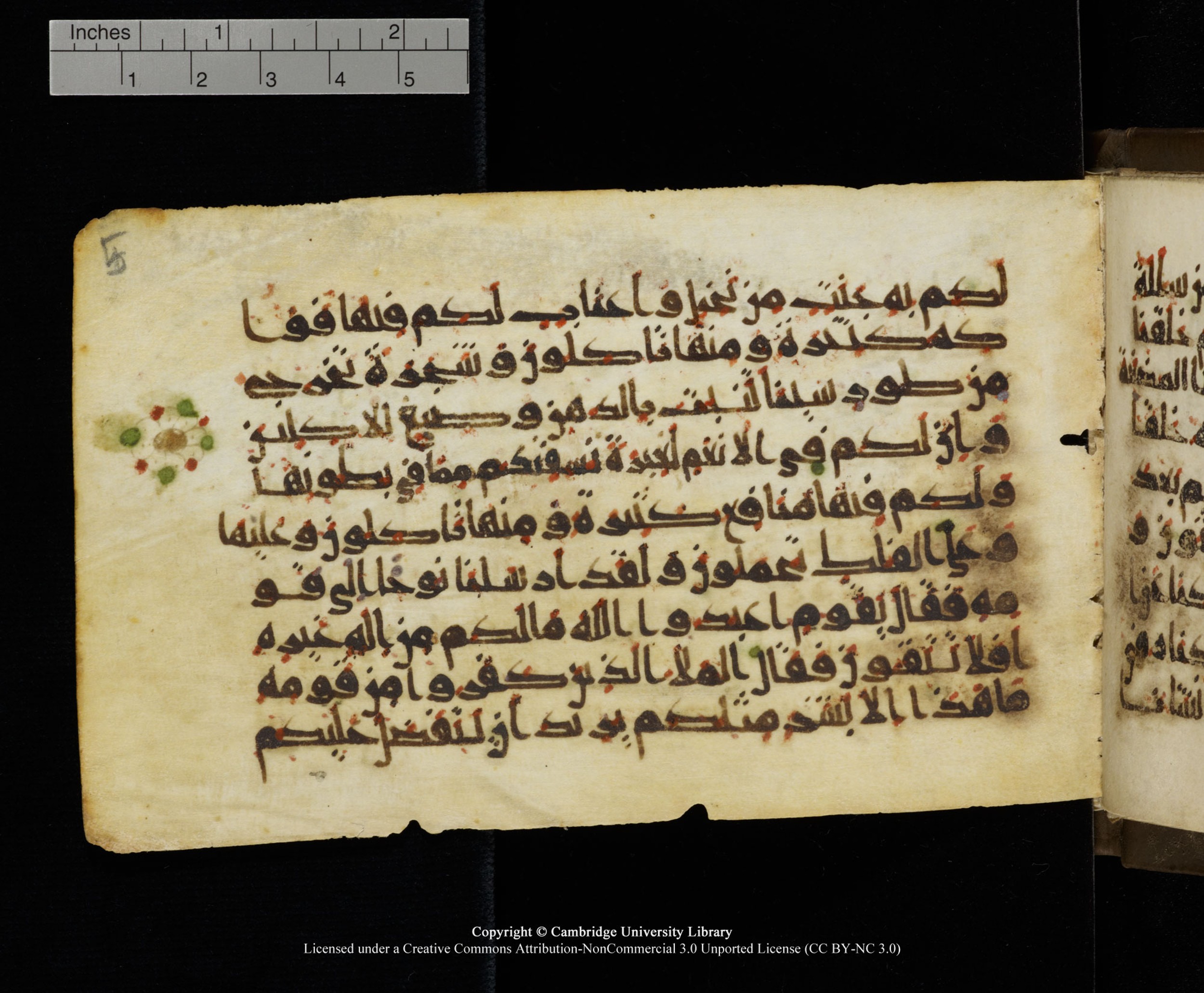 Cambridge MS Add.1137 (Scan 2), in kūfī E script, showing Surah 23:19 from 9th or 10th Century AD found in Sinai Peninsula, Egypt, currently housed at Cambridge University Library, Cambridge