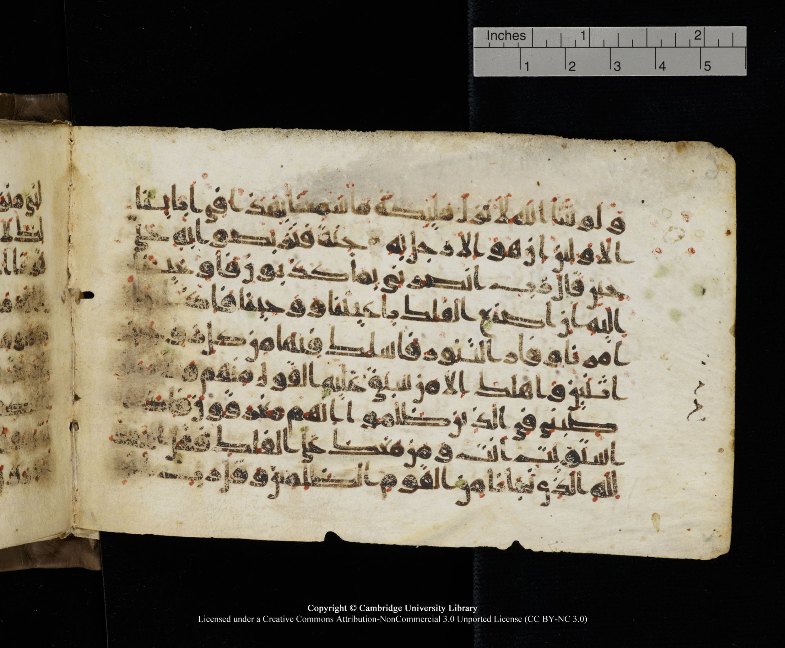 Cambridge MS Add.1137, in kūfī E script, showing Surah 23:28 from 9th or 10th Century AD found in Sinai Peninsula, Egypt, currently housed at Cambridge University Library, Cambridge