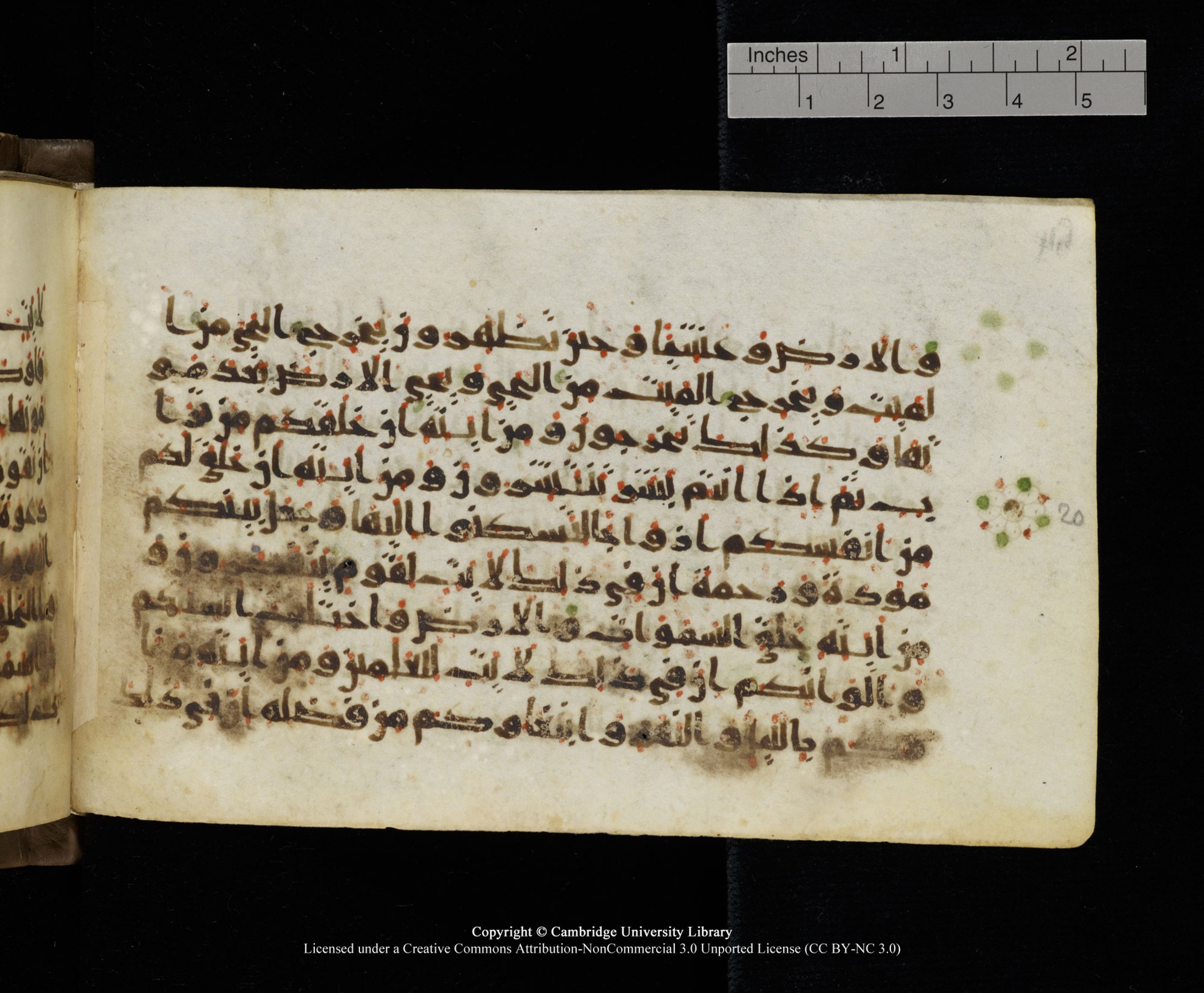 Cambridge MS Add.1137, in kūfī E script, showing Surah 30:22 from 9th or 10th Century AD found in Sinai Peninsula, Egypt, currently housed at Cambridge University Library, Cambridge