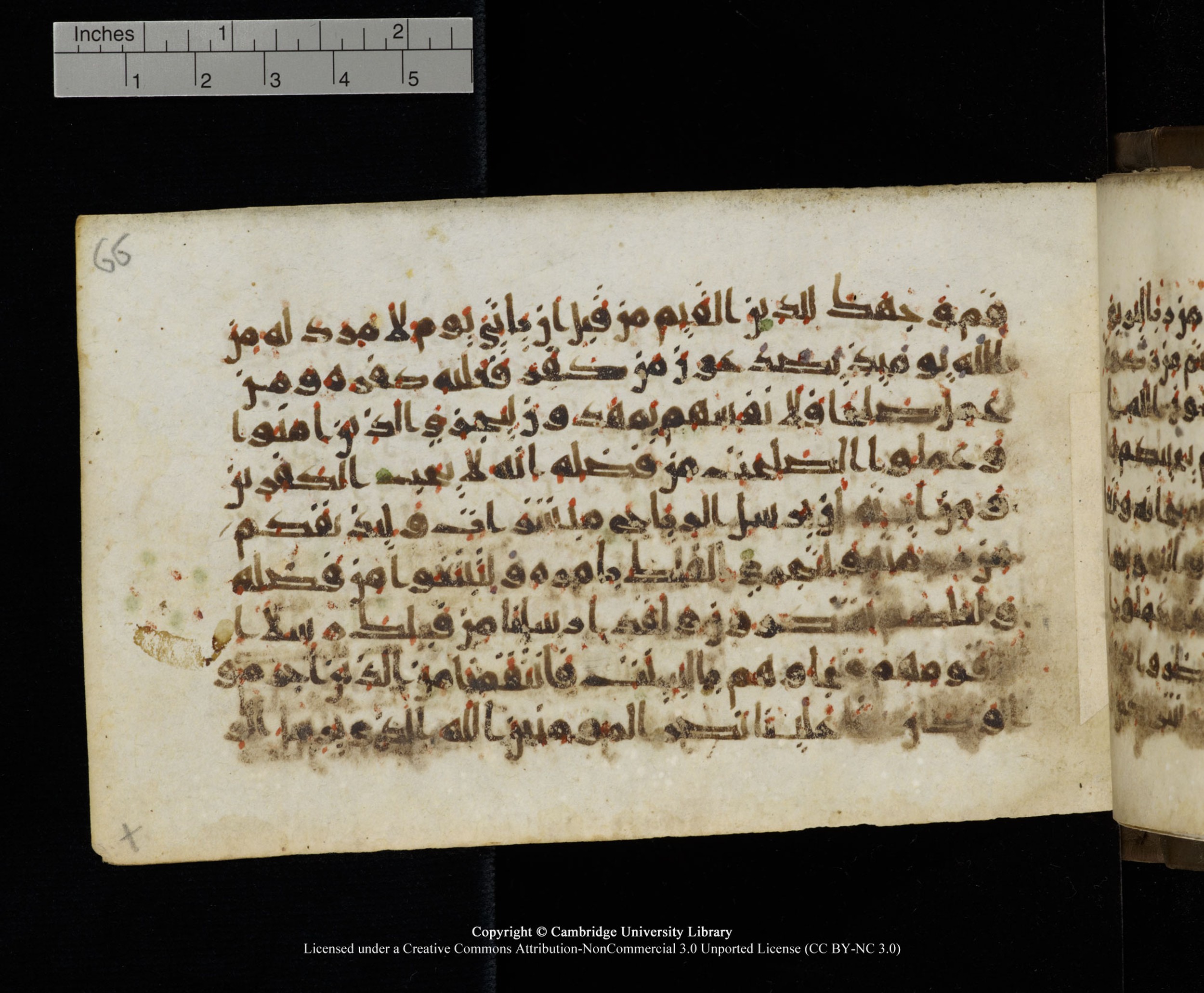 Cambridge MS Add.1137, in kūfī E script, showing Surah 30:44 from 9th or 10th Century AD found in Sinai Peninsula, Egypt, currently housed at Cambridge University Library, Cambridge