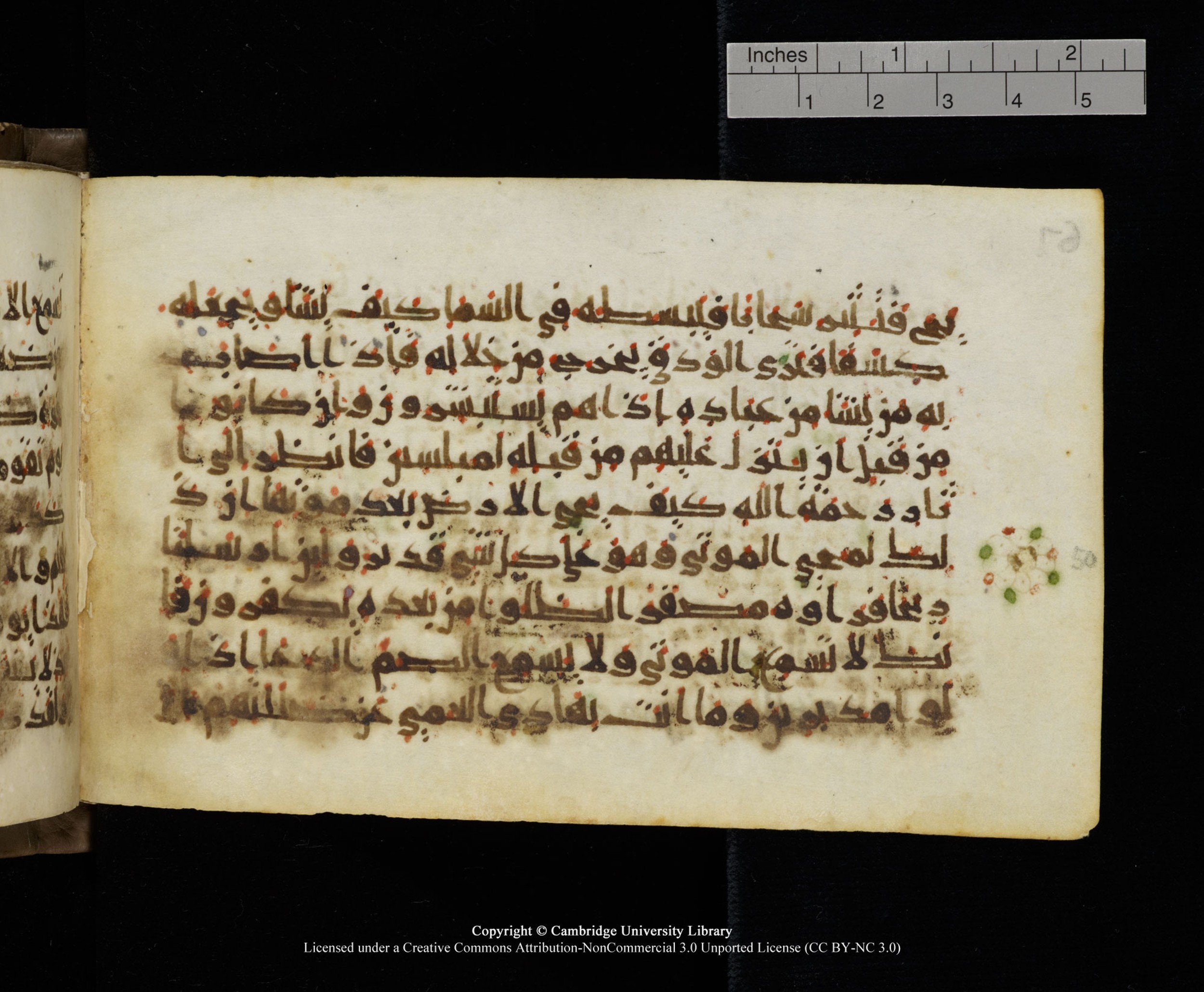 Cambridge MS Add.1137, in kūfī E script, showing Surah 30:49 from 9th or 10th Century AD found in Sinai Peninsula, Egypt, currently housed at Cambridge University Library, Cambridge