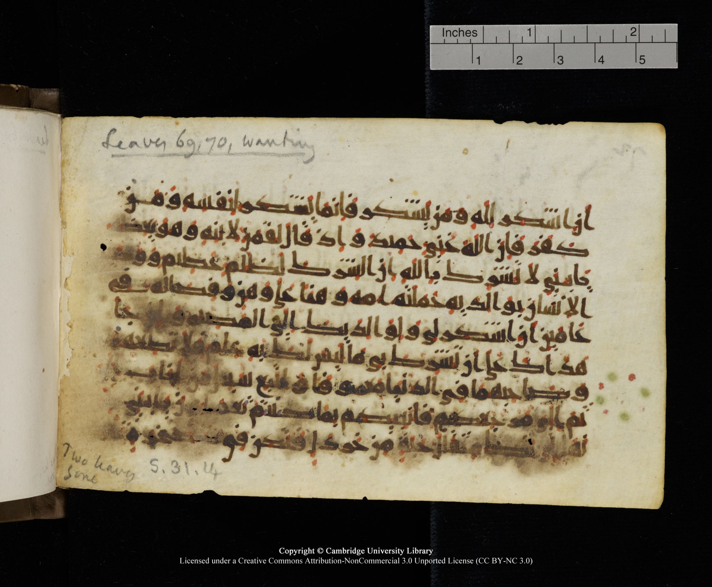 Cambridge MS Add.1137, in kūfī E script, showing Surah 31:13 from 9th or 10th Century AD found in Sinai Peninsula, Egypt, currently housed at Cambridge University Library, Cambridge