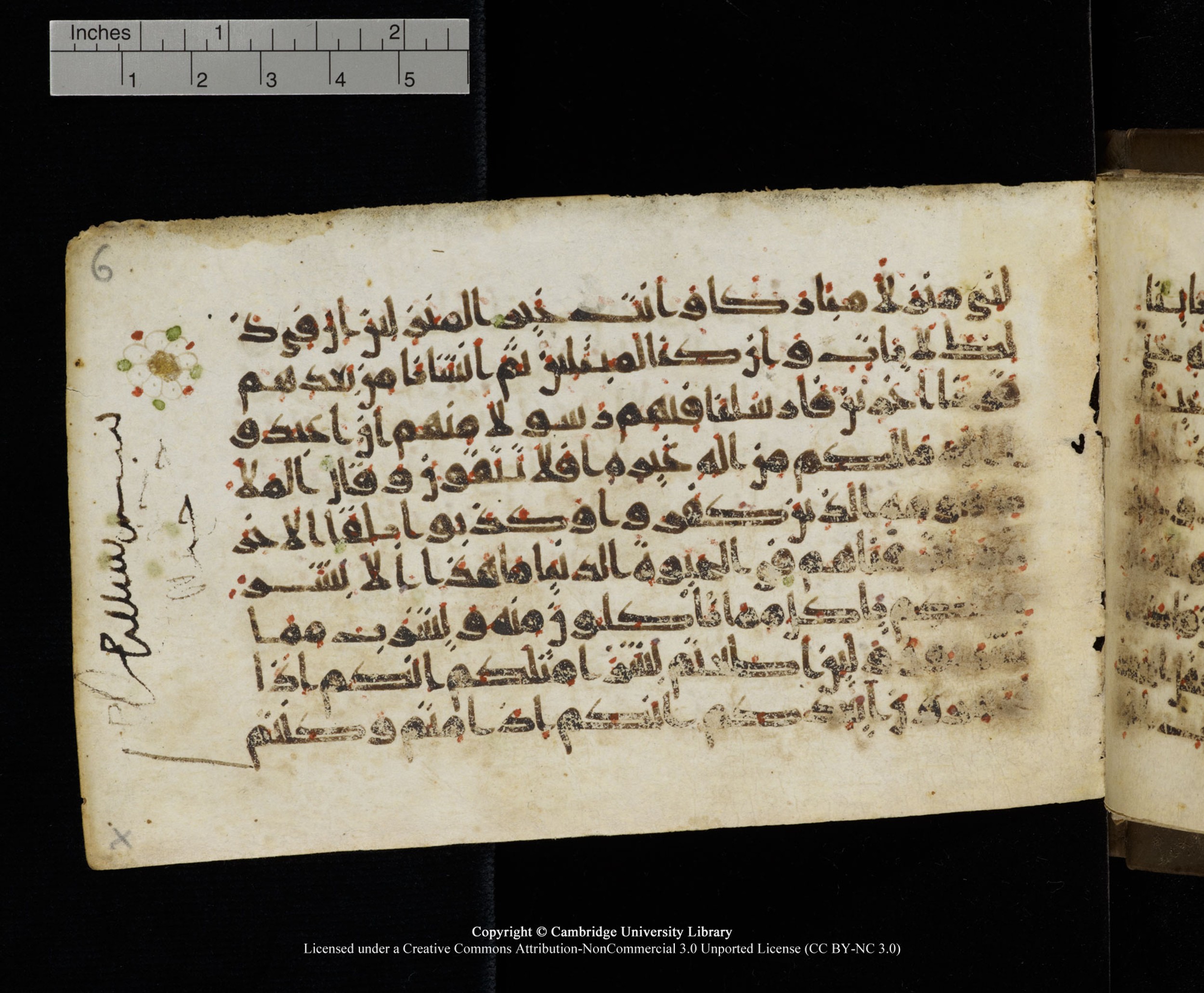 Cambridge MS Add.1137, in kūfī E script, showing Surah 23:33 from 9th or 10th Century AD found in Sinai Peninsula, Egypt, currently housed at Cambridge University Library, Cambridge