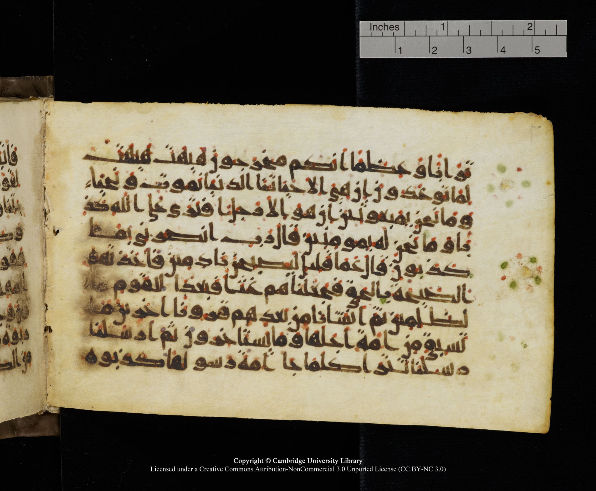 Cambridge MS Add.1137, in kūfī E script, showing Surah 23:40 from 9th or 10th Century AD found in Sinai Peninsula, Egypt, currently housed at Cambridge University Library, Cambridge