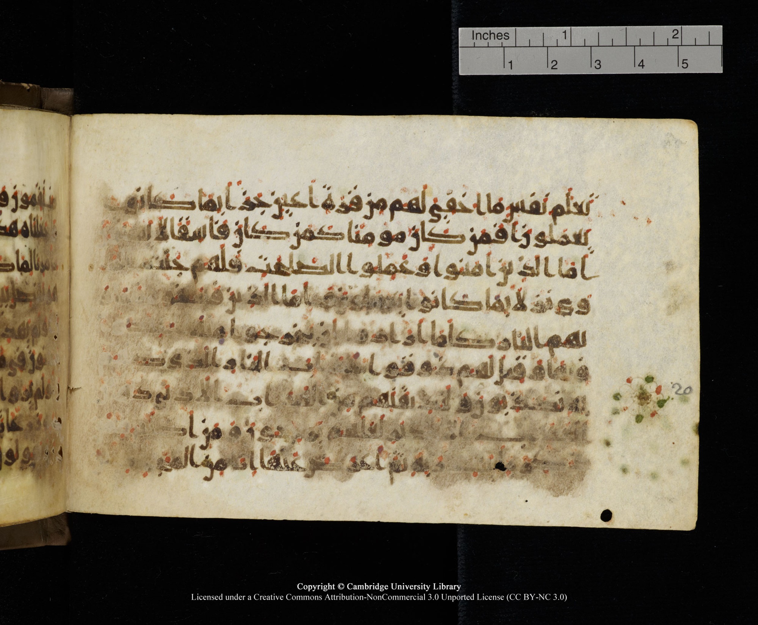 Cambridge MS Add.1137, in kūfī E script, showing Surah 32:18 from 9th or 10th Century AD found in Sinai Peninsula, Egypt, currently housed at Cambridge University Library, Cambridge