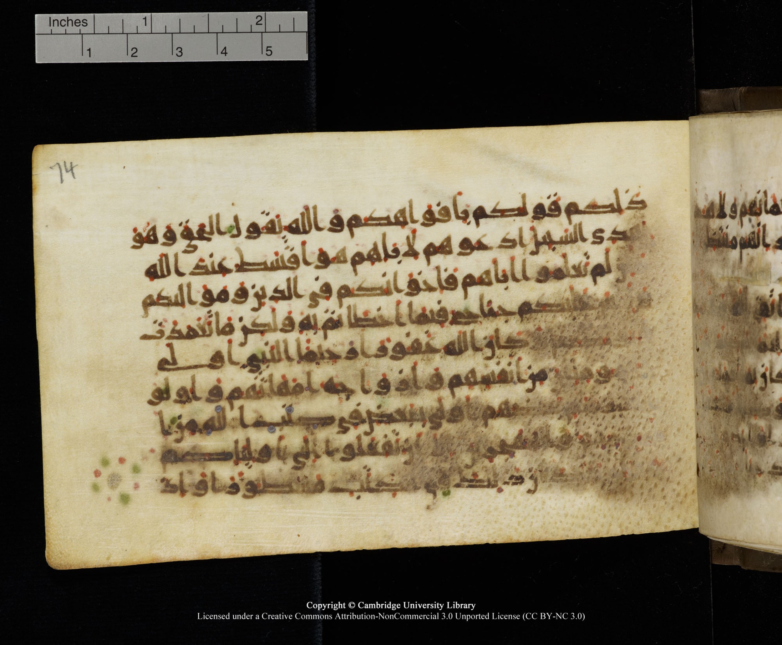Cambridge MS Add.1137 (Scan 1), in kūfī E script, showing Surah 33:7 from 9th or 10th Century AD found in Sinai Peninsula, Egypt, currently housed at Cambridge University Library, Cambridge