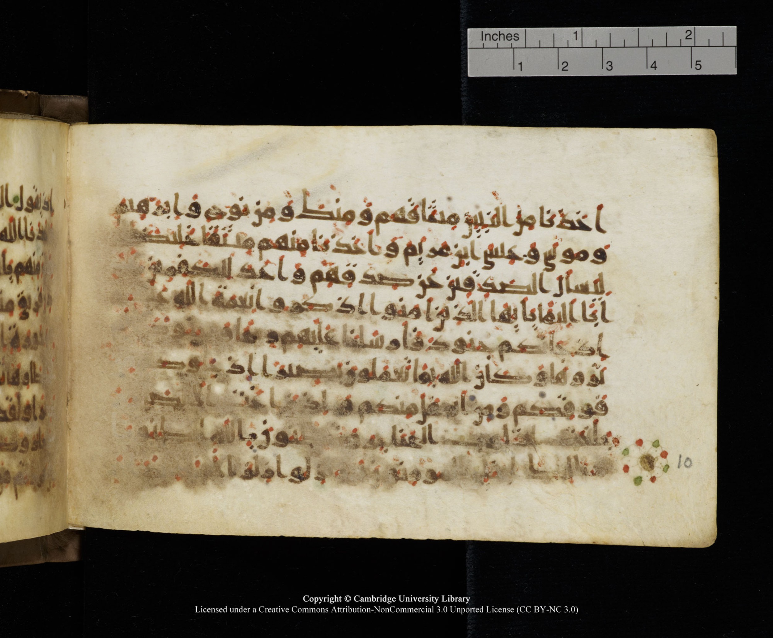 Cambridge MS Add.1137 (Scan 2), in kūfī E script, showing Surah 33:7 from 9th or 10th Century AD found in Sinai Peninsula, Egypt, currently housed at Cambridge University Library, Cambridge