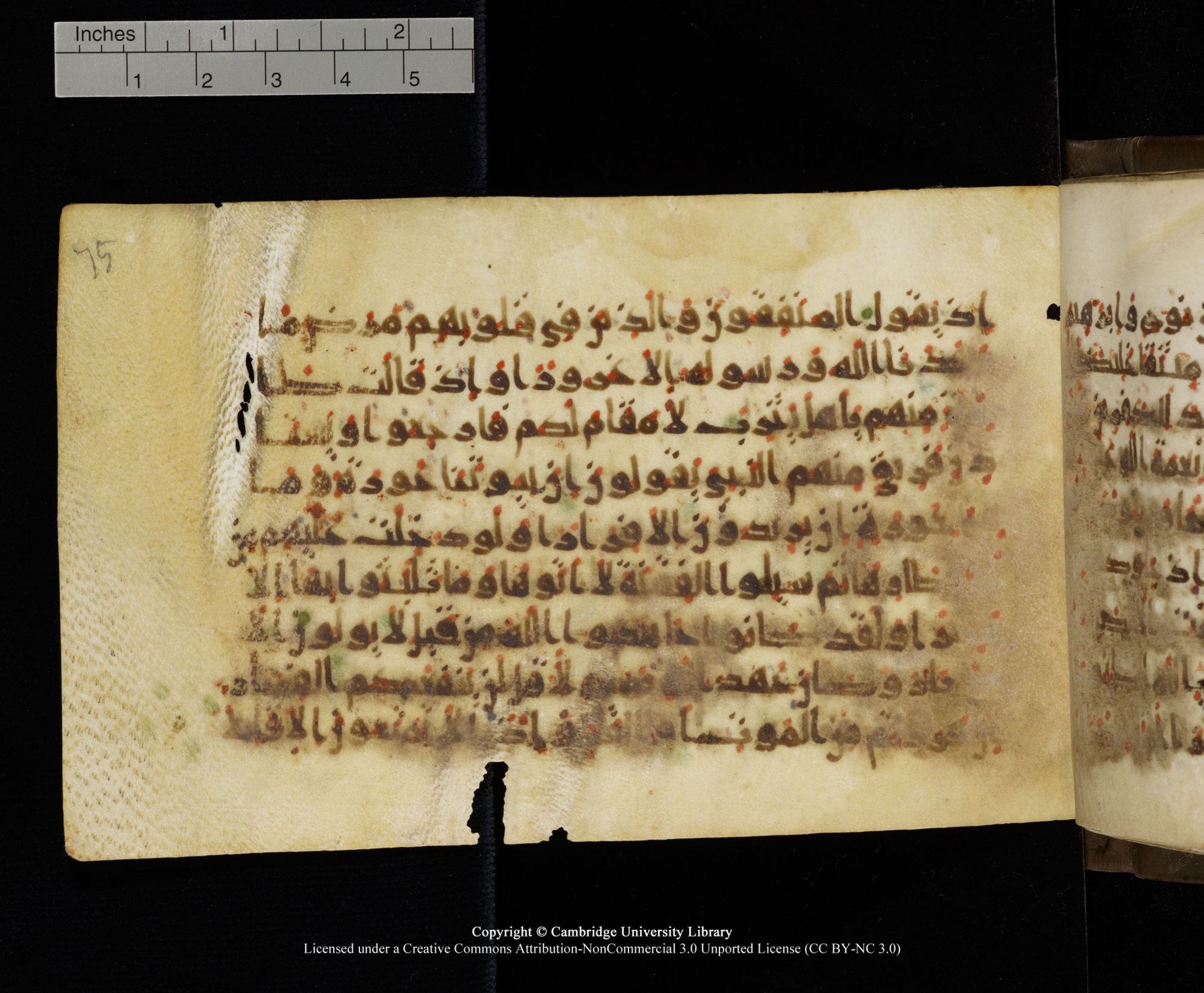 Cambridge MS Add.1137, in kūfī E script, showing Surah 33:13 from 9th or 10th Century AD found in Sinai Peninsula, Egypt, currently housed at Cambridge University Library, Cambridge