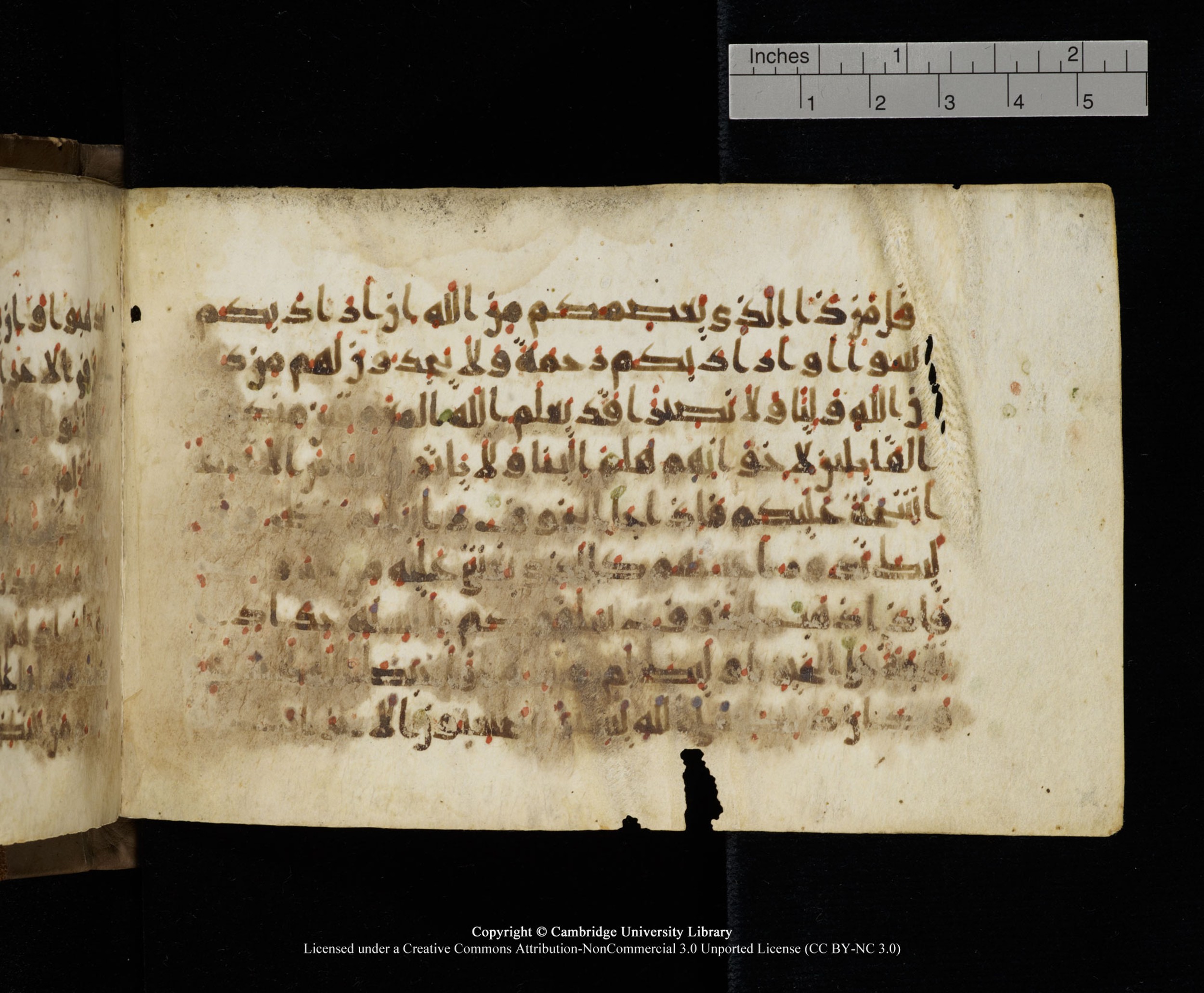 Cambridge MS Add.1137, in kūfī E script, showing Surah 33:18 from 9th or 10th Century AD found in Sinai Peninsula, Egypt, currently housed at Cambridge University Library, Cambridge