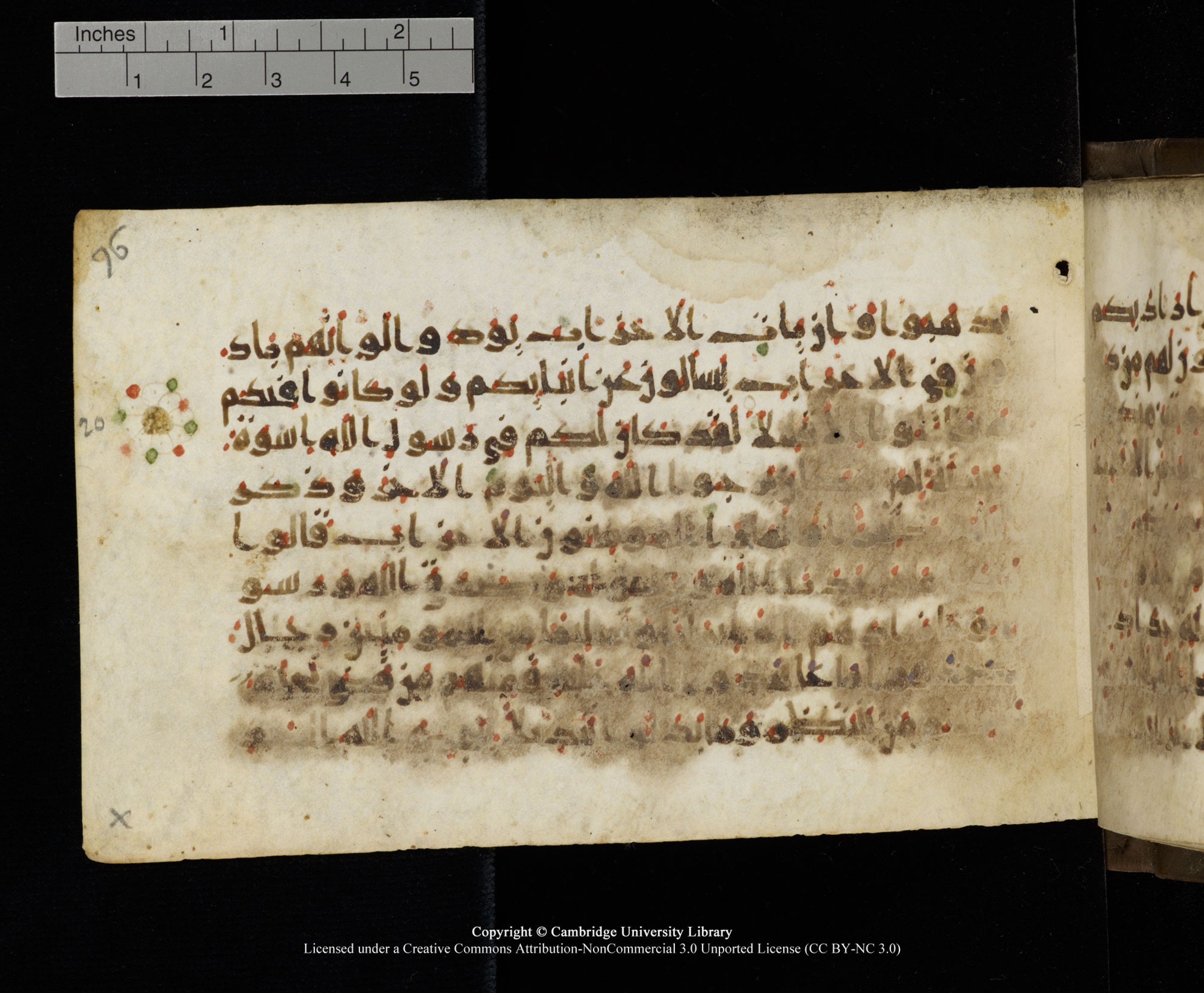 Cambridge MS Add.1137, in kūfī E script, showing Surah 33:22 from 9th or 10th Century AD found in Sinai Peninsula, Egypt, currently housed at Cambridge University Library, Cambridge
