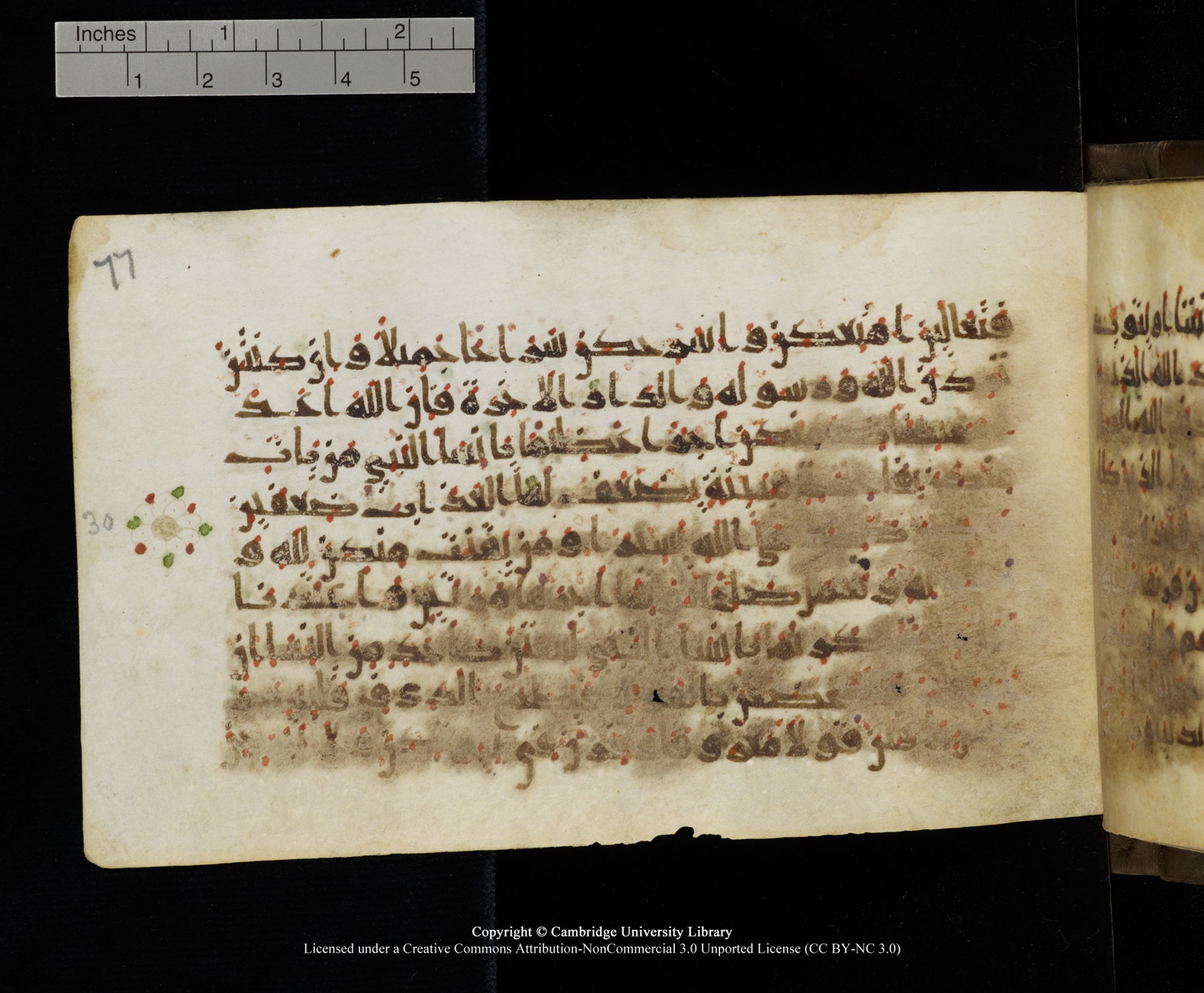 Cambridge MS Add.1137, in kūfī E script, showing Surah 33:32 from 9th or 10th Century AD found in Sinai Peninsula, Egypt, currently housed at Cambridge University Library, Cambridge