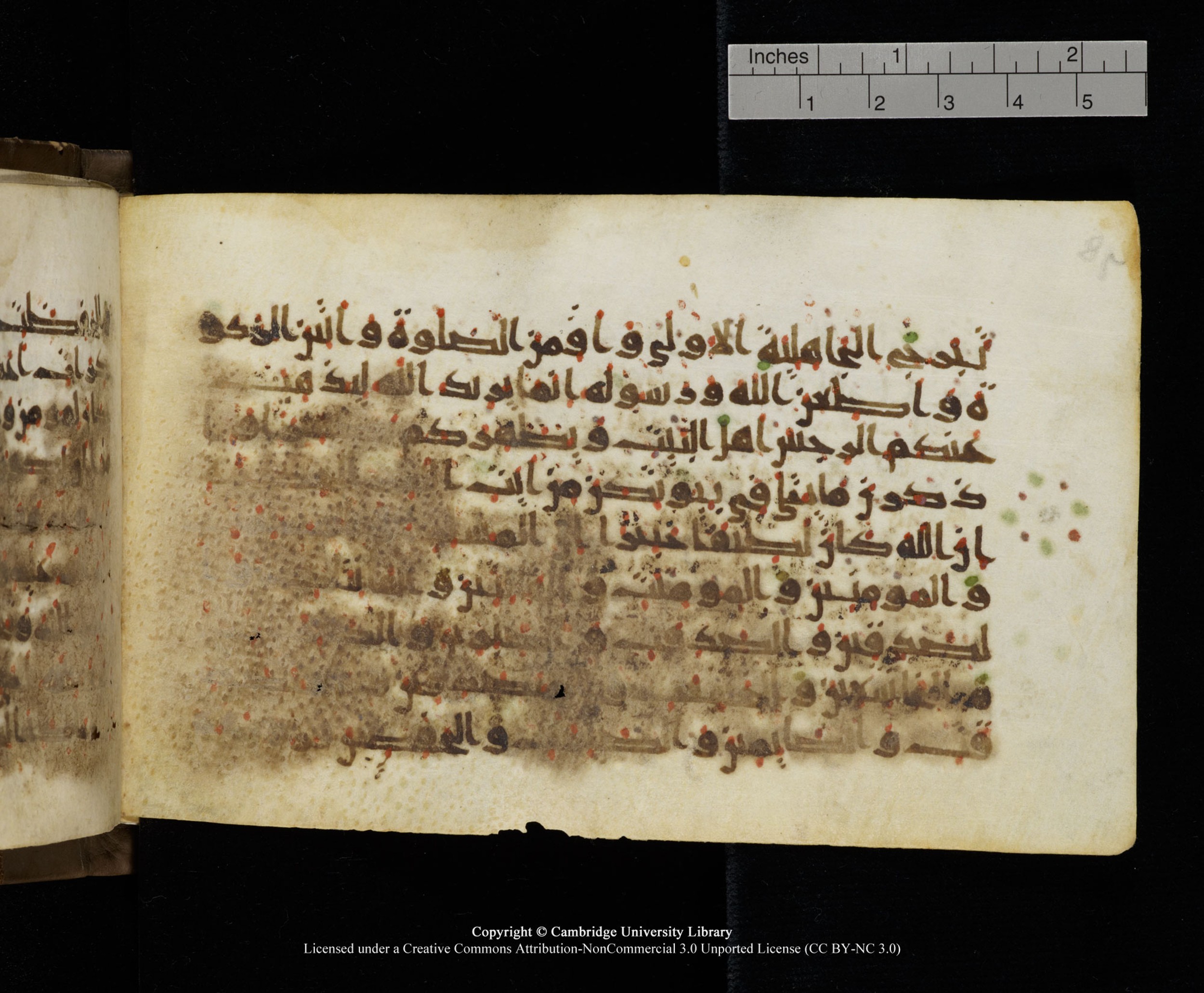Cambridge MS Add.1137, in kūfī E script, showing Surah 33:34 from 9th or 10th Century AD found in Sinai Peninsula, Egypt, currently housed at Cambridge University Library, Cambridge