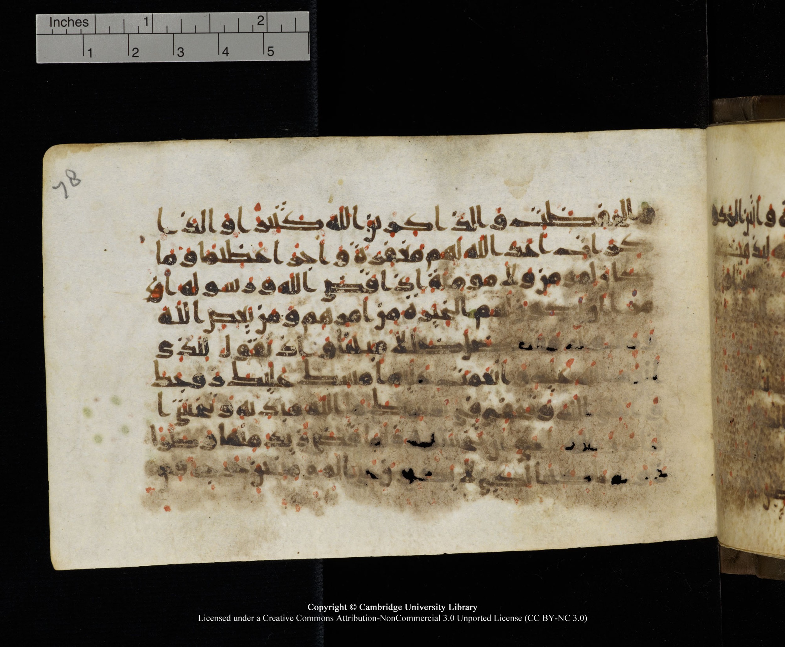 Cambridge MS Add.1137 (Scan 1), in kūfī E script, showing Surah 33:37 from 9th or 10th Century AD found in Sinai Peninsula, Egypt, currently housed at Cambridge University Library, Cambridge