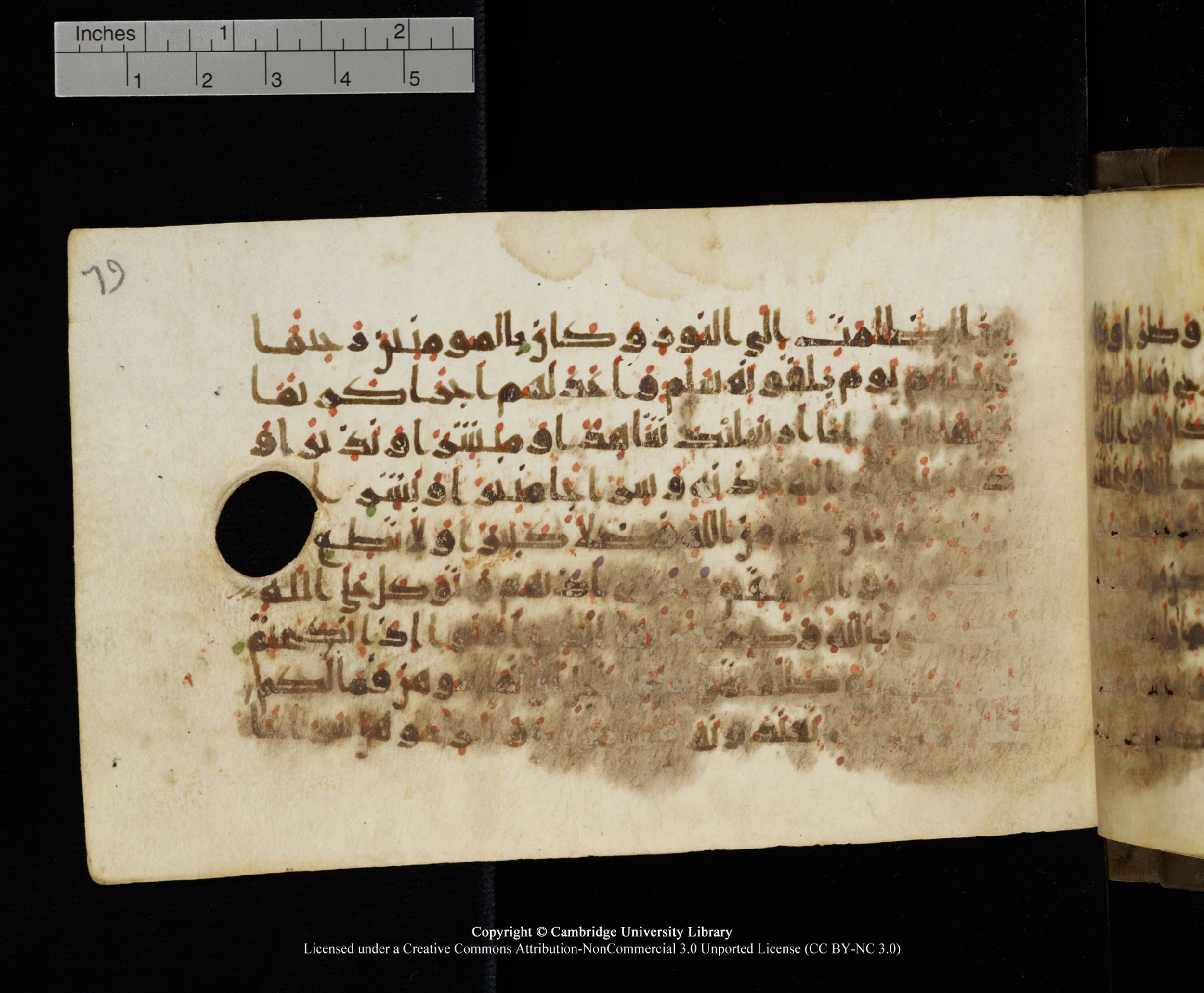 Cambridge MS Add.1137 (Scan 1), in kūfī E script, showing Surah 33:49 from 9th or 10th Century AD found in Sinai Peninsula, Egypt, currently housed at Cambridge University Library, Cambridge