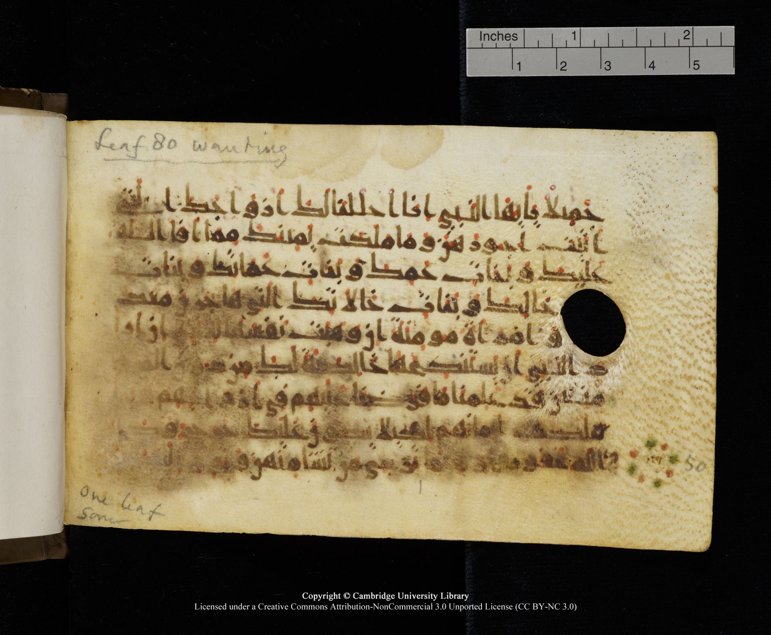 Cambridge MS Add.1137 (Scan 2), in kūfī E script, showing Surah 33:49 from 9th or 10th Century AD found in Sinai Peninsula, Egypt, currently housed at Cambridge University Library, Cambridge
