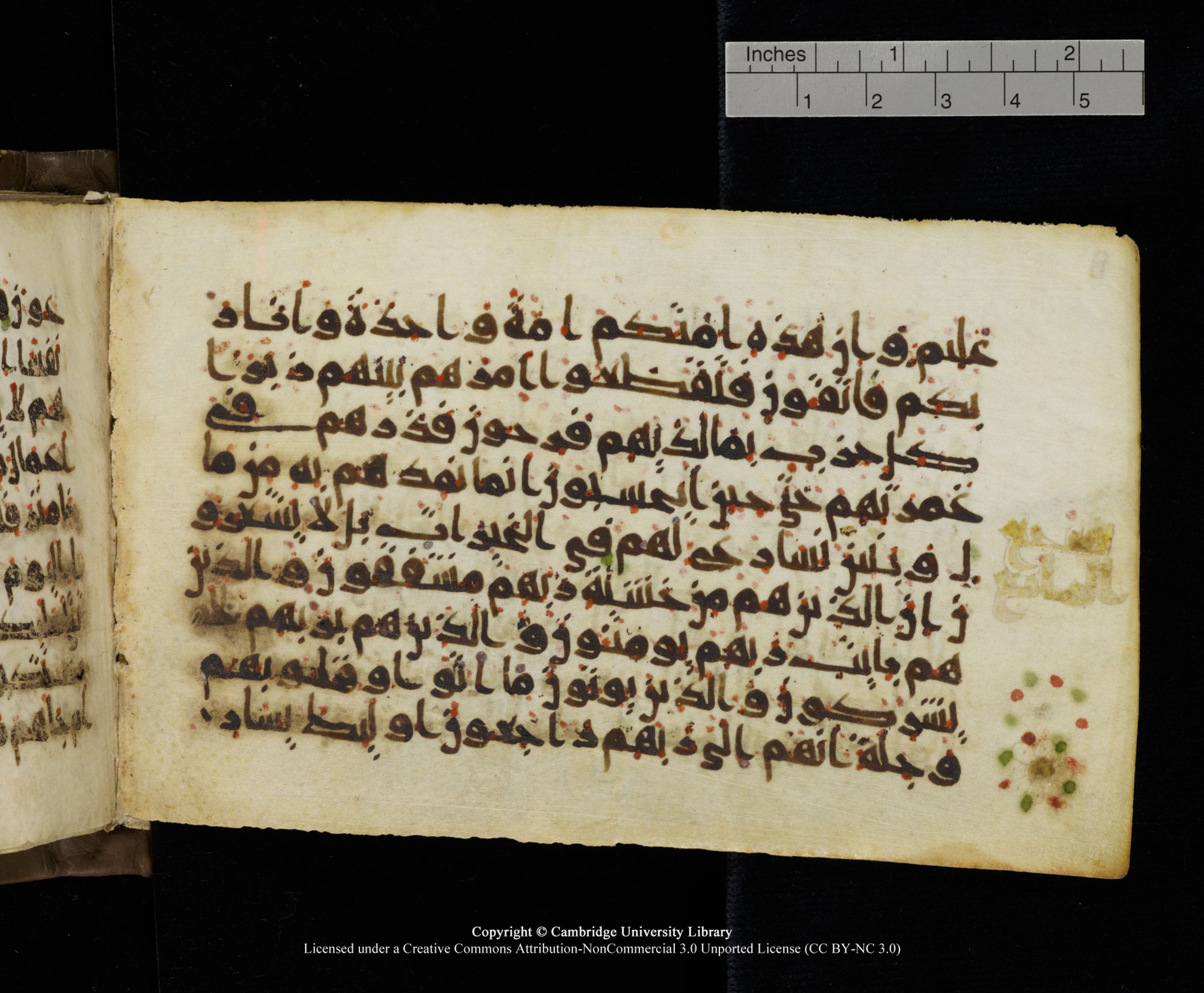 Cambridge MS Add.1137, in kūfī E script, showing Surah 23:53 from 9th or 10th Century AD found in Sinai Peninsula, Egypt, currently housed at Cambridge University Library, Cambridge