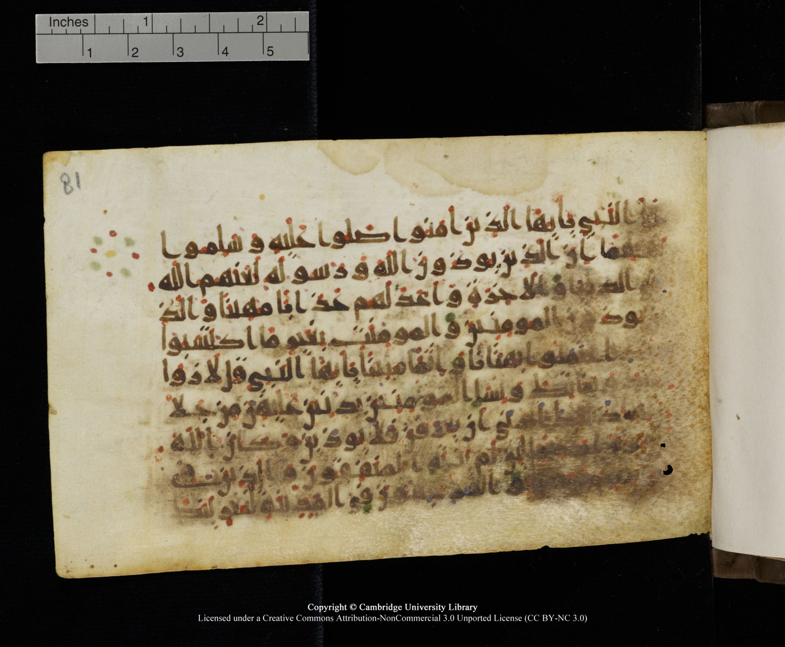 Cambridge MS Add.1137, in kūfī E script, showing Surah 33:59 from 9th or 10th Century AD found in Sinai Peninsula, Egypt, currently housed at Cambridge University Library, Cambridge
