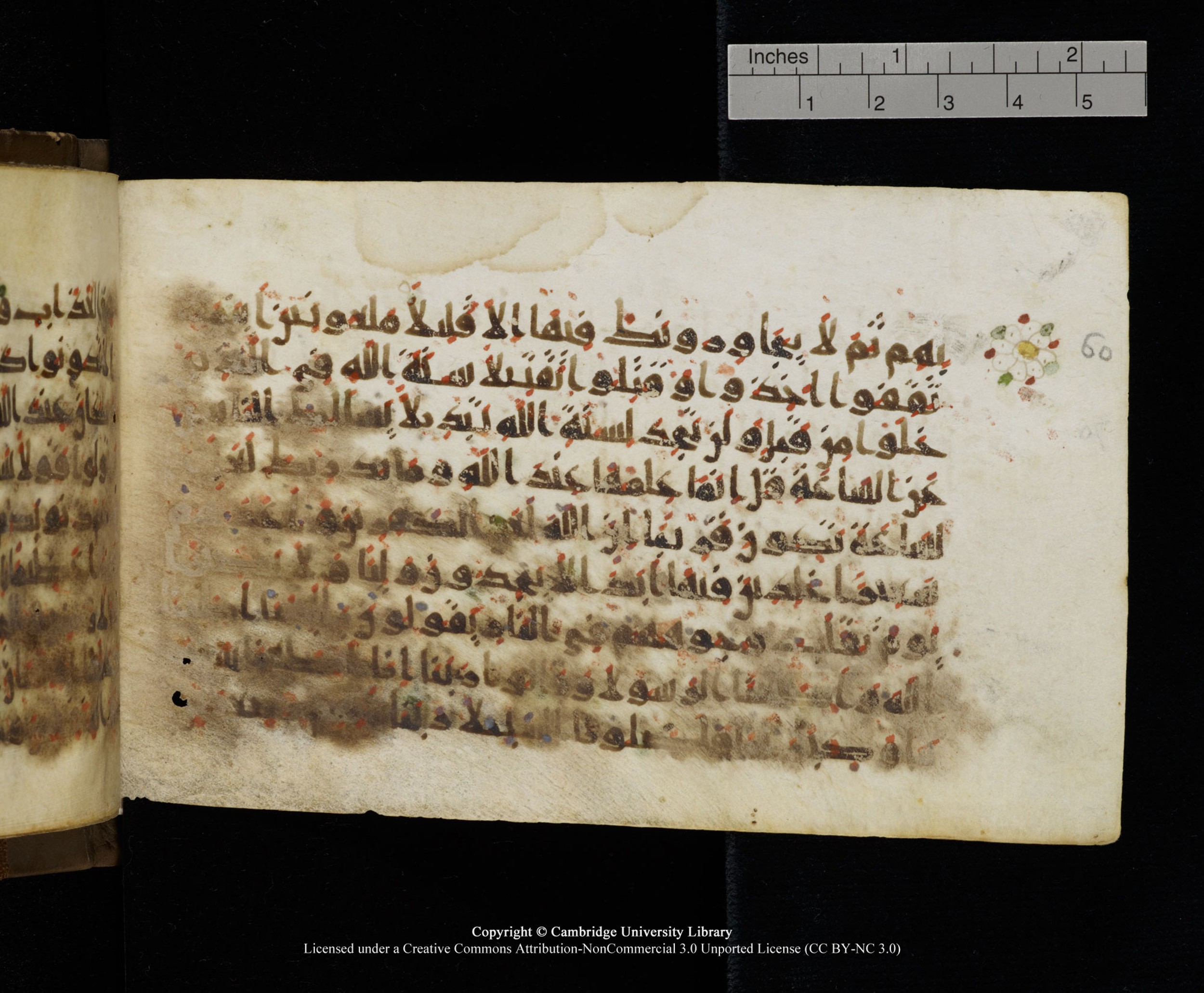 Cambridge MS Add.1137, in kūfī E script, showing Surah 33:64 from 9th or 10th Century AD found in Sinai Peninsula, Egypt, currently housed at Cambridge University Library, Cambridge