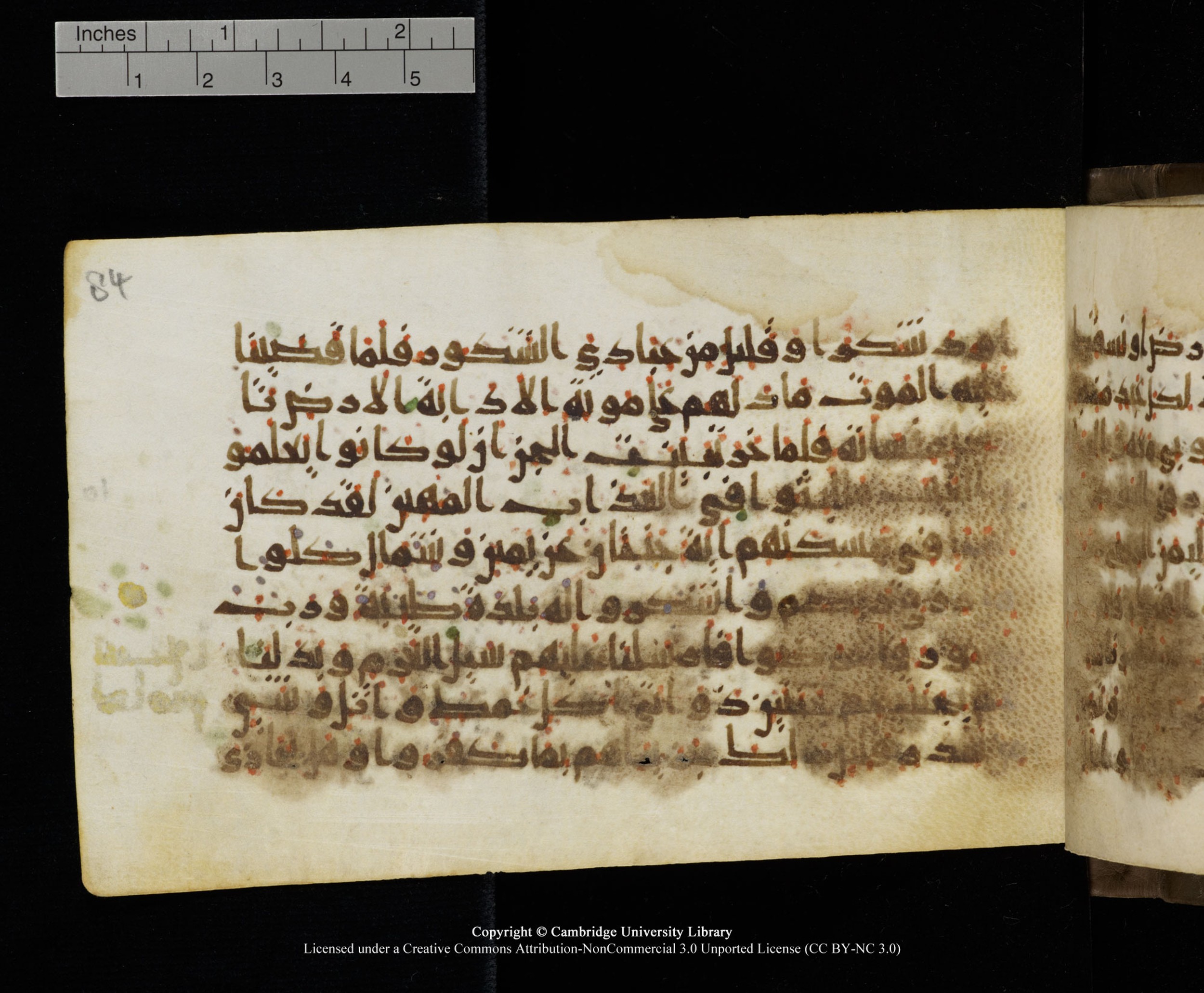 Cambridge MS Add.1137, in kūfī E script, showing Surah 34:16 from 9th or 10th Century AD found in Sinai Peninsula, Egypt, currently housed at Cambridge University Library, Cambridge