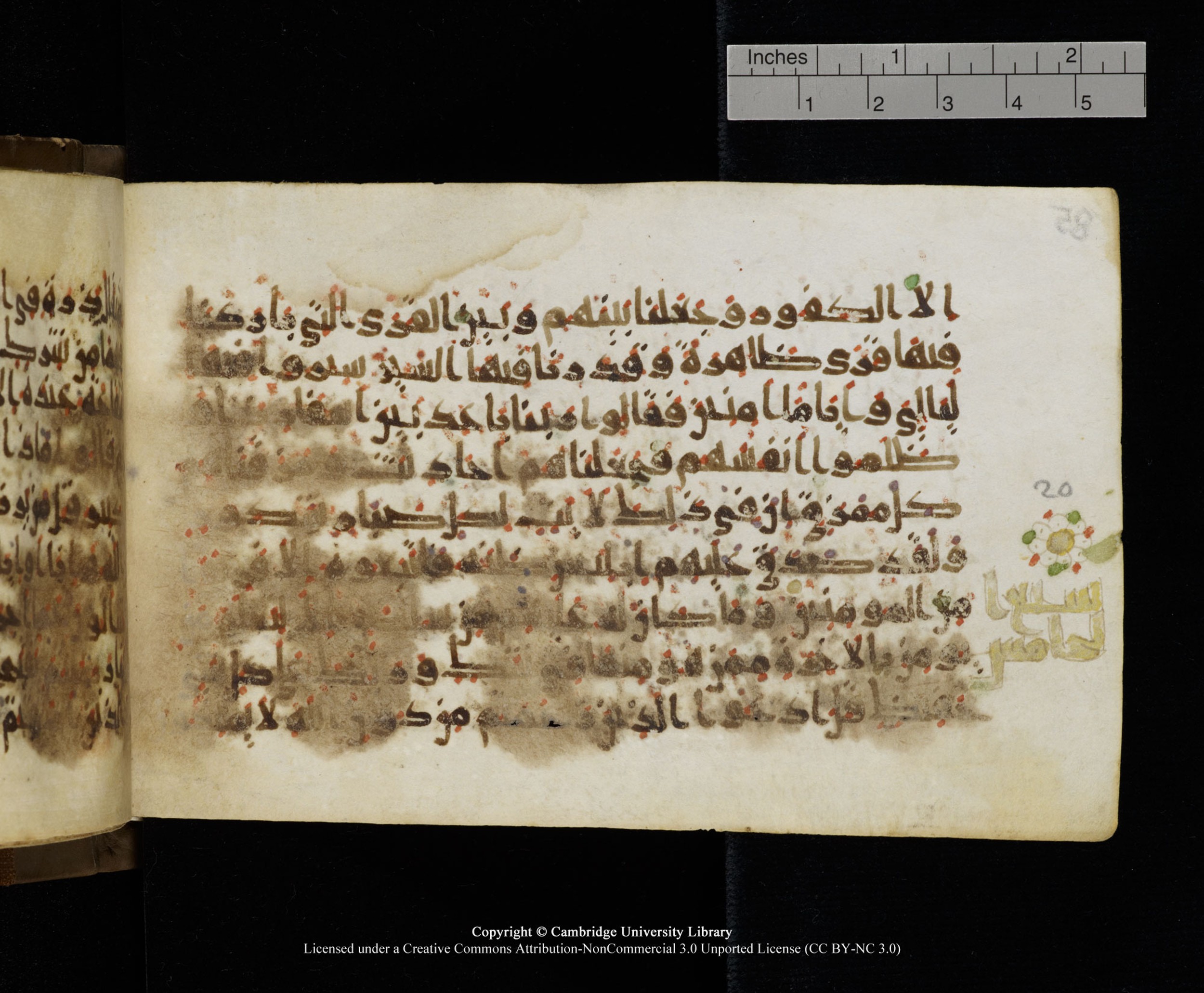 Cambridge MS Add.1137 (Scan 1), in kūfī E script, showing Surah 34:22 from 9th or 10th Century AD found in Sinai Peninsula, Egypt, currently housed at Cambridge University Library, Cambridge