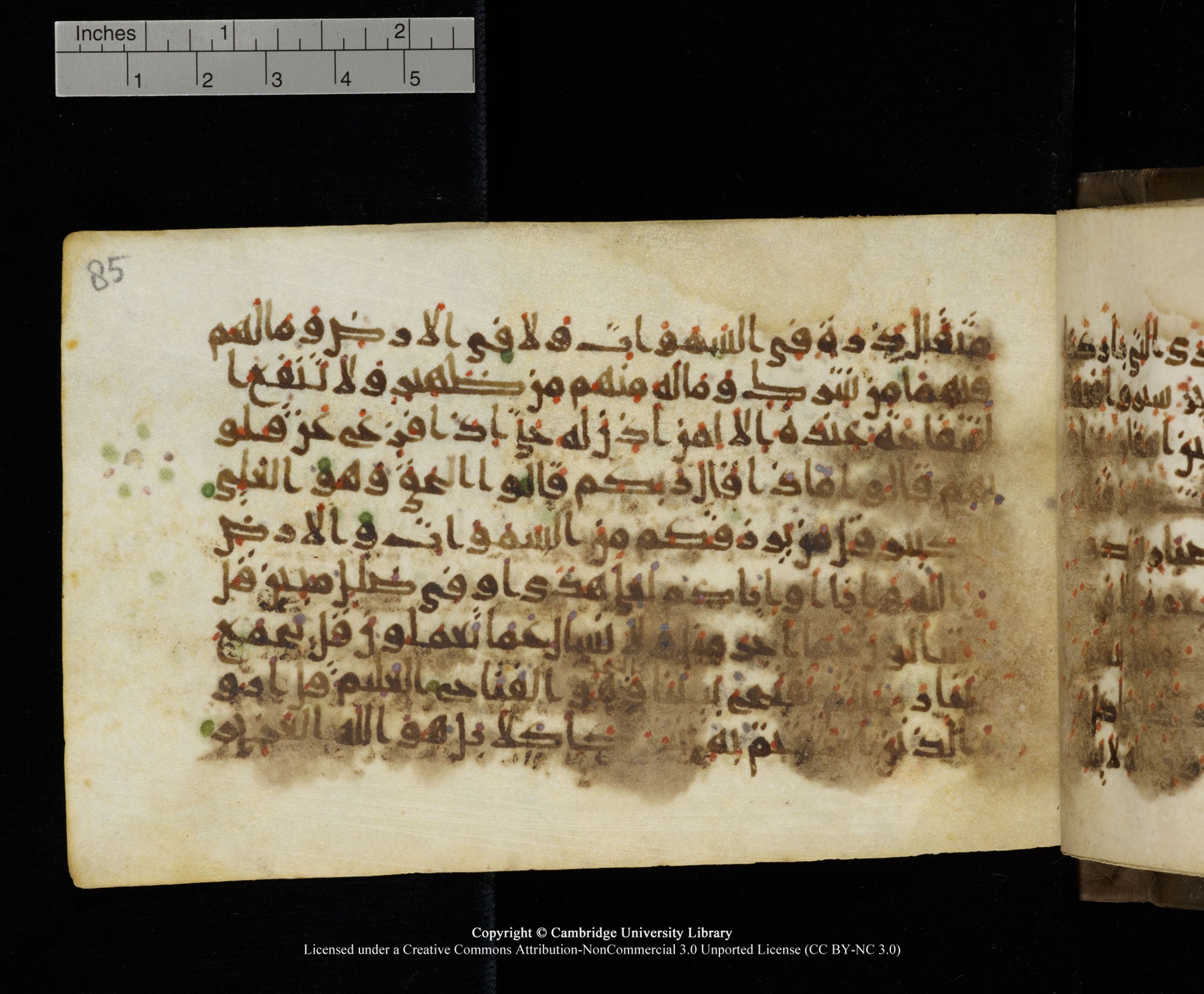 Cambridge MS Add.1137 (Scan 2), in kūfī E script, showing Surah 34:22 from 9th or 10th Century AD found in Sinai Peninsula, Egypt, currently housed at Cambridge University Library, Cambridge