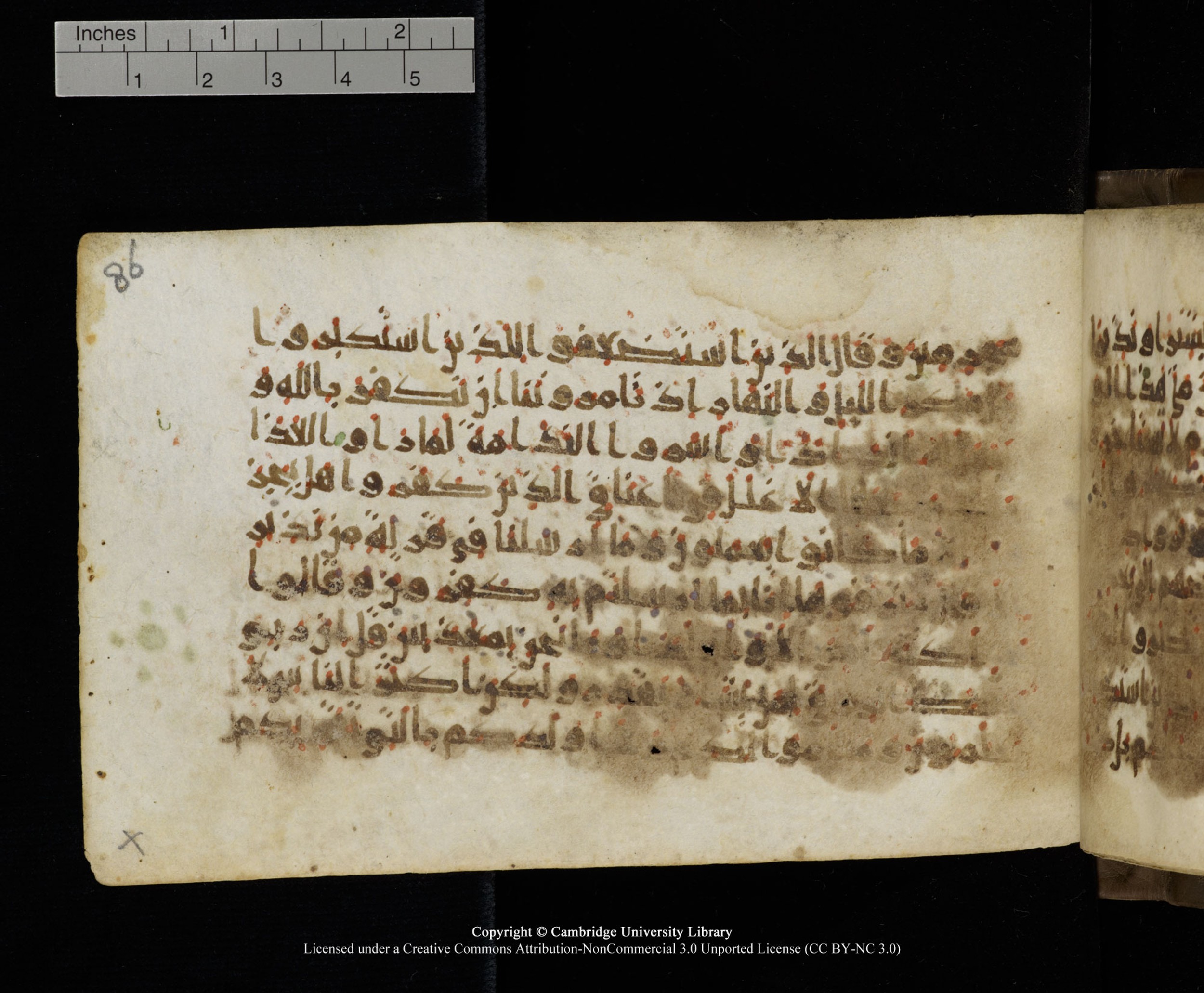 Cambridge MS Add.1137, in kūfī E script, showing Surah 34:33 from 9th or 10th Century AD found in Sinai Peninsula, Egypt, currently housed at Cambridge University Library, Cambridge