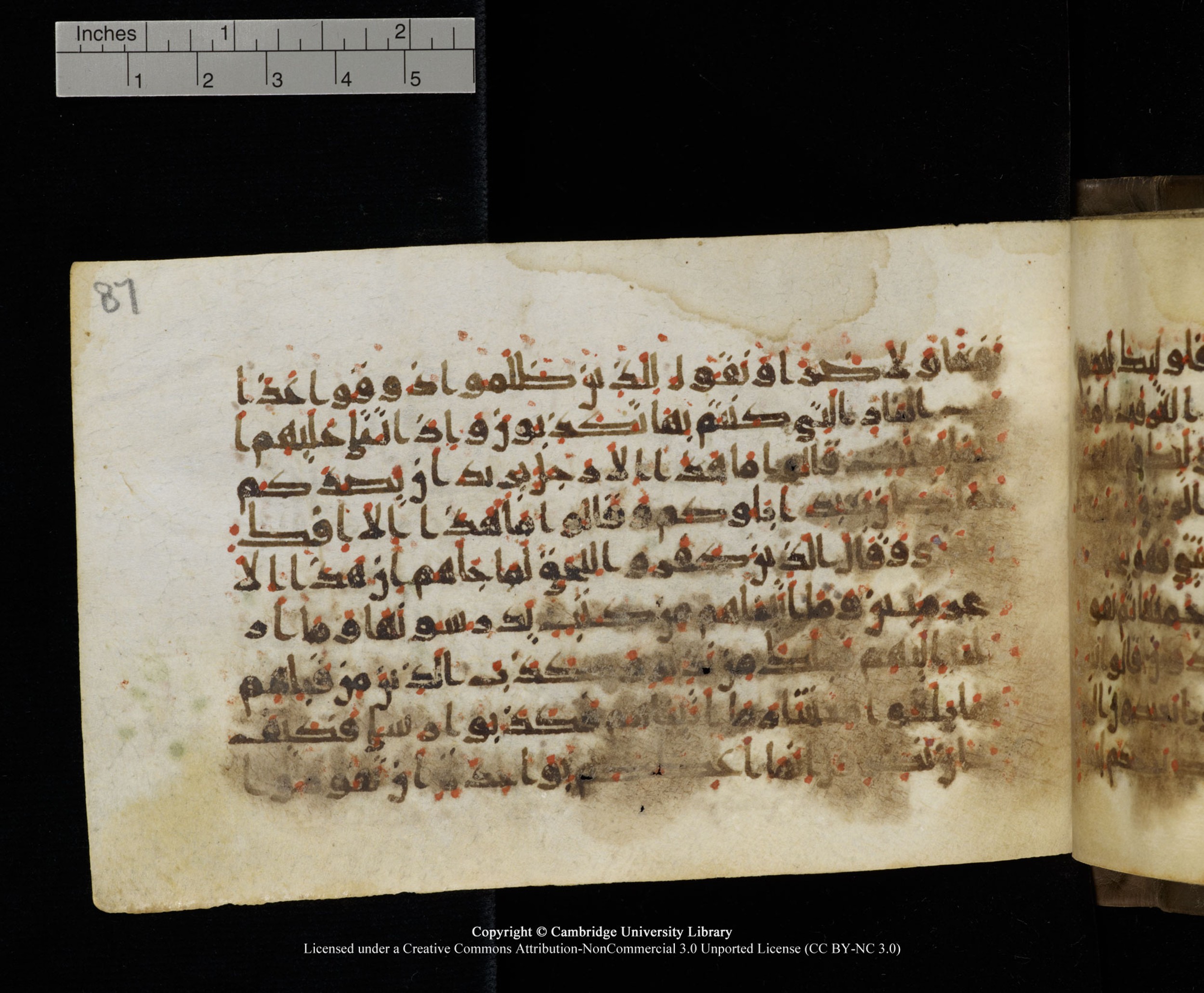 Cambridge MS Add.1137 (Scan 1), in kūfī E script, showing Surah 34:46 from 9th or 10th Century AD found in Sinai Peninsula, Egypt, currently housed at Cambridge University Library, Cambridge