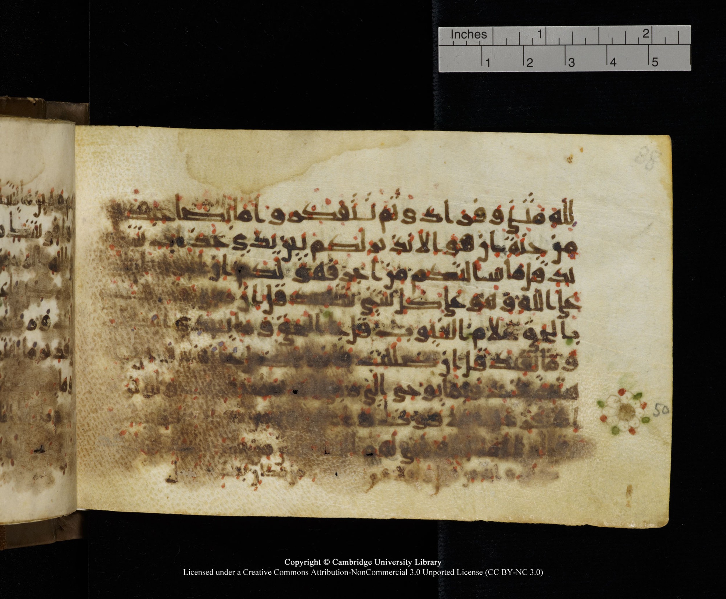 Cambridge MS Add.1137 (Scan 2), in kūfī E script, showing Surah 34:46 from 9th or 10th Century AD found in Sinai Peninsula, Egypt, currently housed at Cambridge University Library, Cambridge