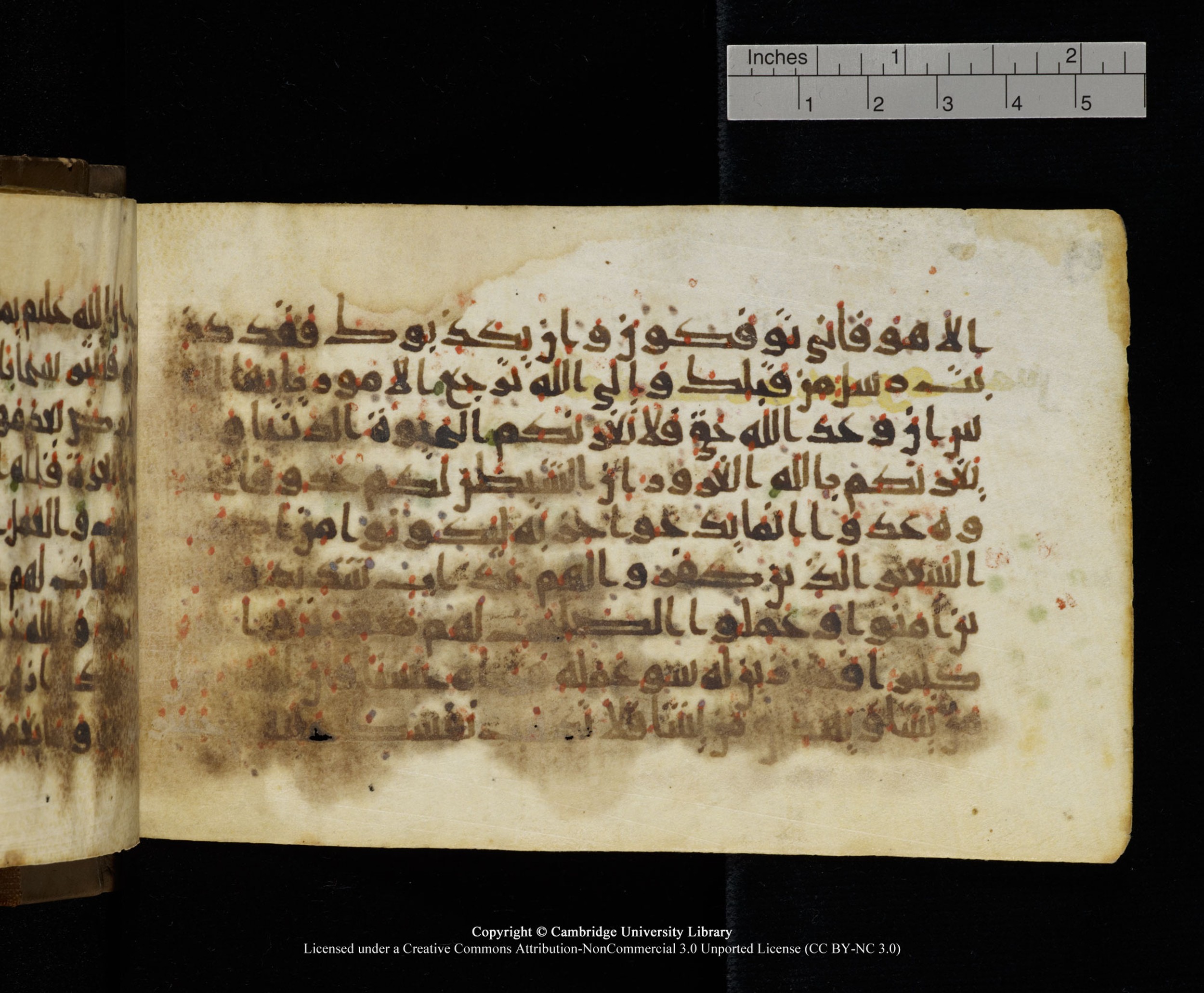 Cambridge MS Add.1137, in kūfī E script, showing Surah 35:4 from 9th or 10th Century AD found in Sinai Peninsula, Egypt, currently housed at Cambridge University Library, Cambridge