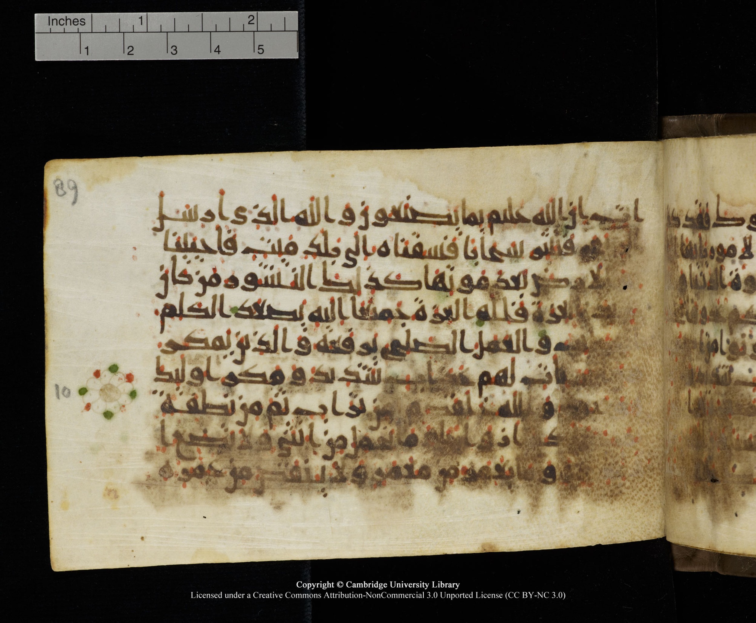 Cambridge MS Add.1137, in kūfī E script, showing Surah 35:9 from 9th or 10th Century AD found in Sinai Peninsula, Egypt, currently housed at Cambridge University Library, Cambridge