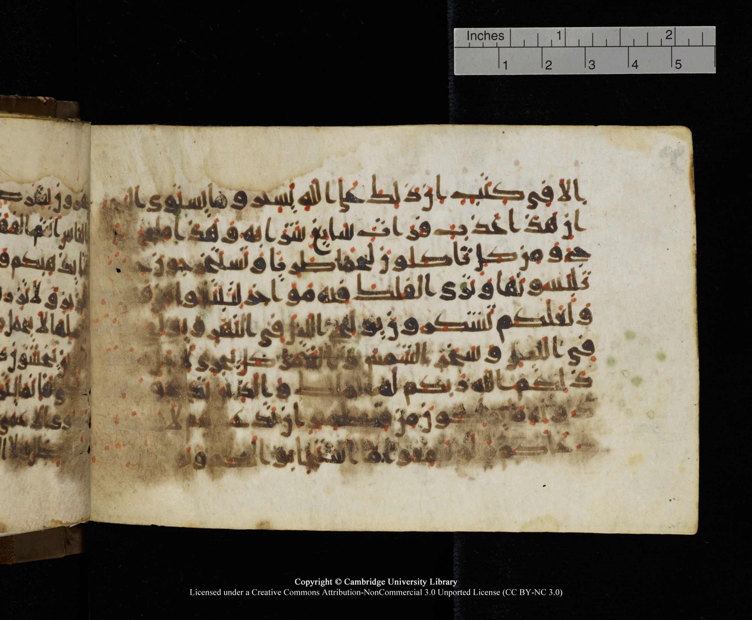 Cambridge MS Add.1137, in kūfī E script, showing Surah 35:12 from 9th or 10th Century AD found in Sinai Peninsula, Egypt, currently housed at Cambridge University Library, Cambridge