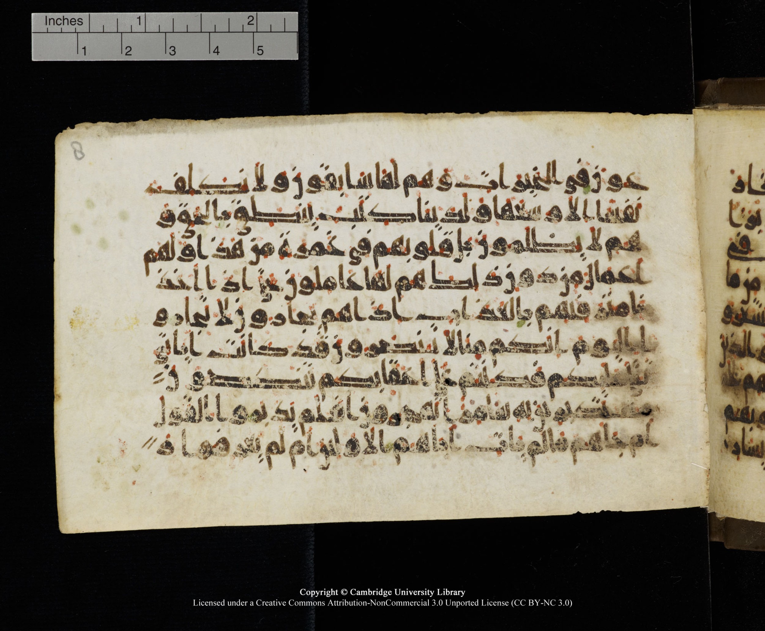 Cambridge MS Add.1137, in kūfī E script, showing Surah 23:63 from 9th or 10th Century AD found in Sinai Peninsula, Egypt, currently housed at Cambridge University Library, Cambridge