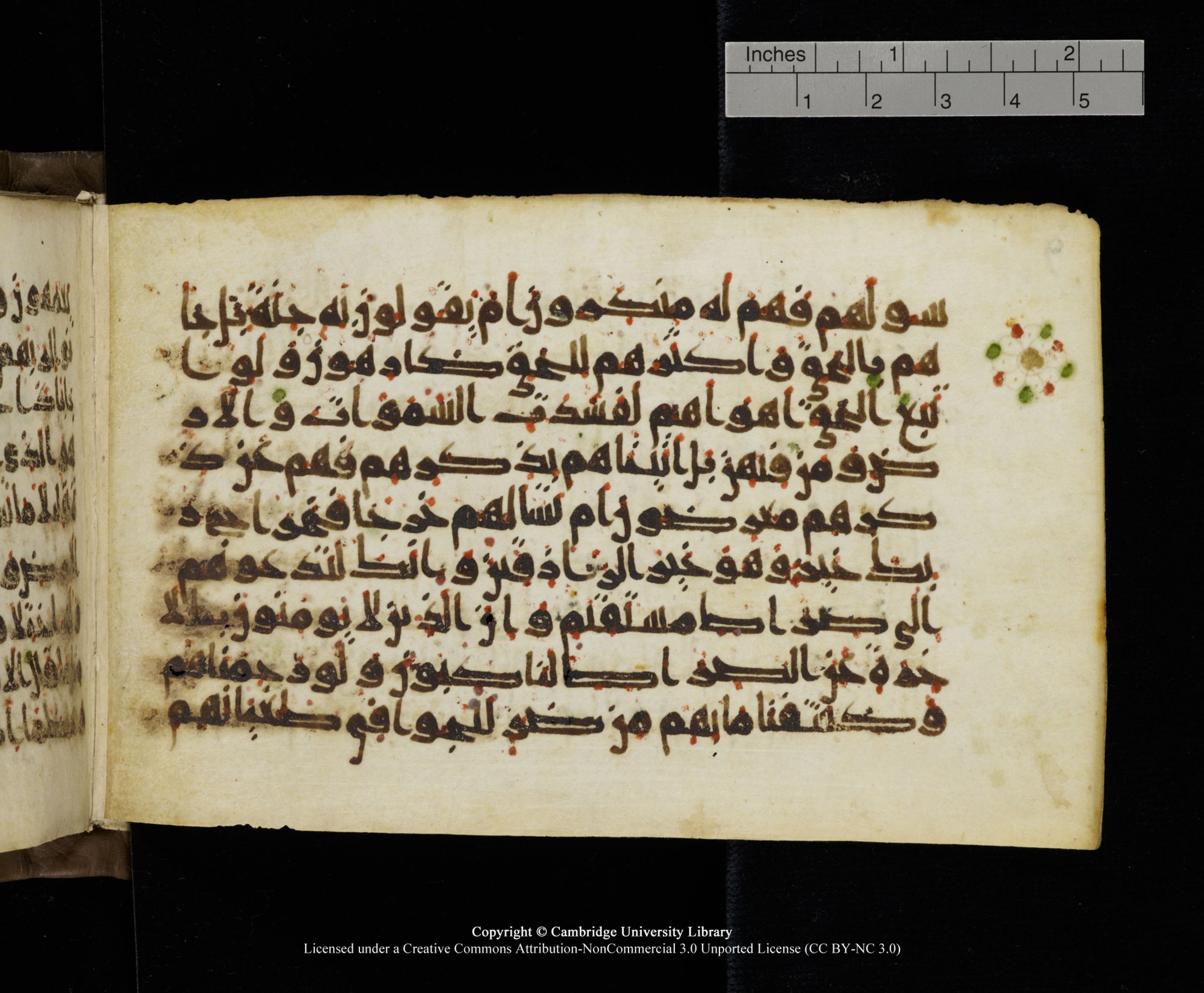 Cambridge MS Add.1137, in kūfī E script, showing Surah 23:71 from 9th or 10th Century AD found in Sinai Peninsula, Egypt, currently housed at Cambridge University Library, Cambridge