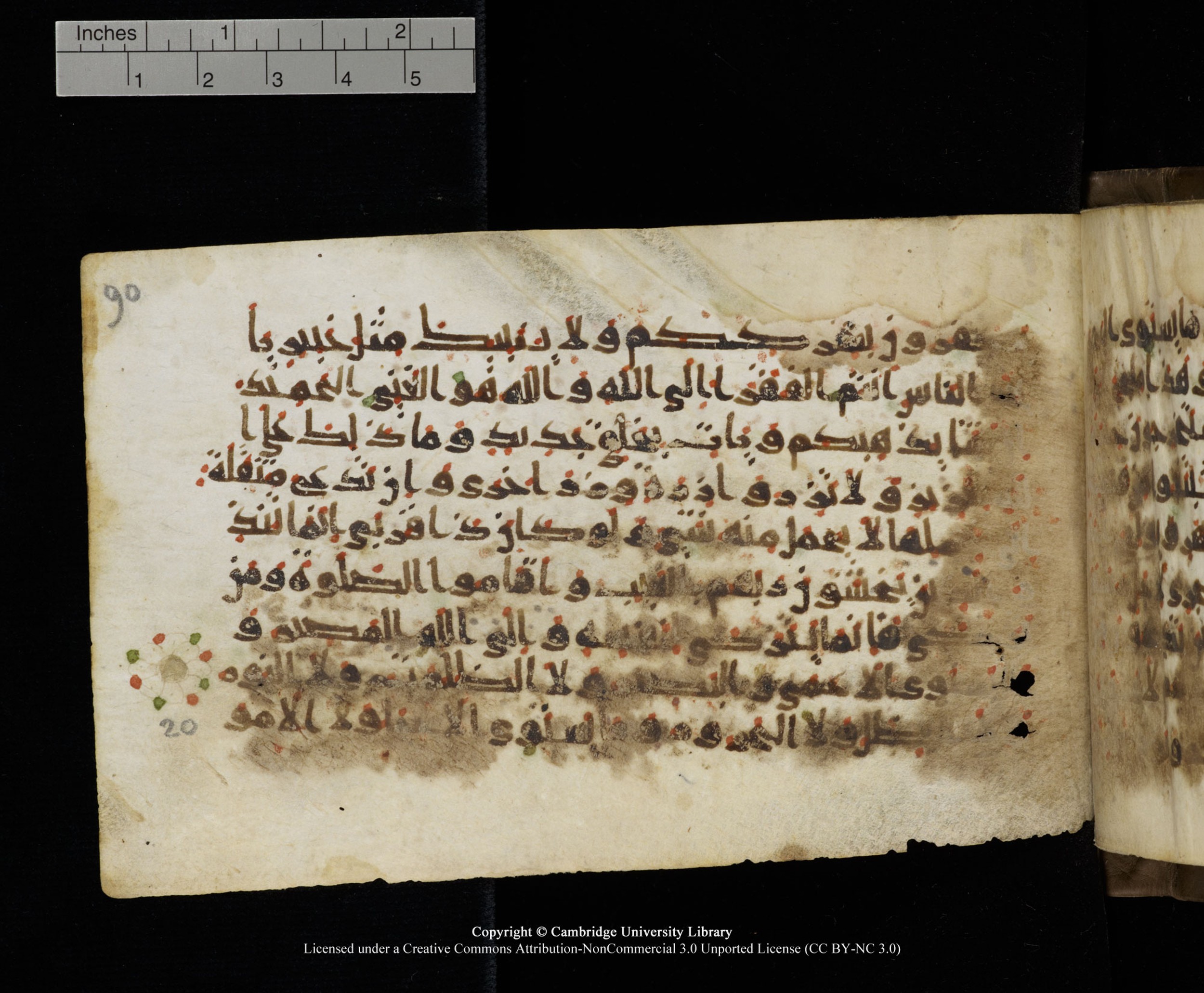 Cambridge MS Add.1137, in kūfī E script, showing Surah 35:21 from 9th or 10th Century AD found in Sinai Peninsula, Egypt, currently housed at Cambridge University Library, Cambridge