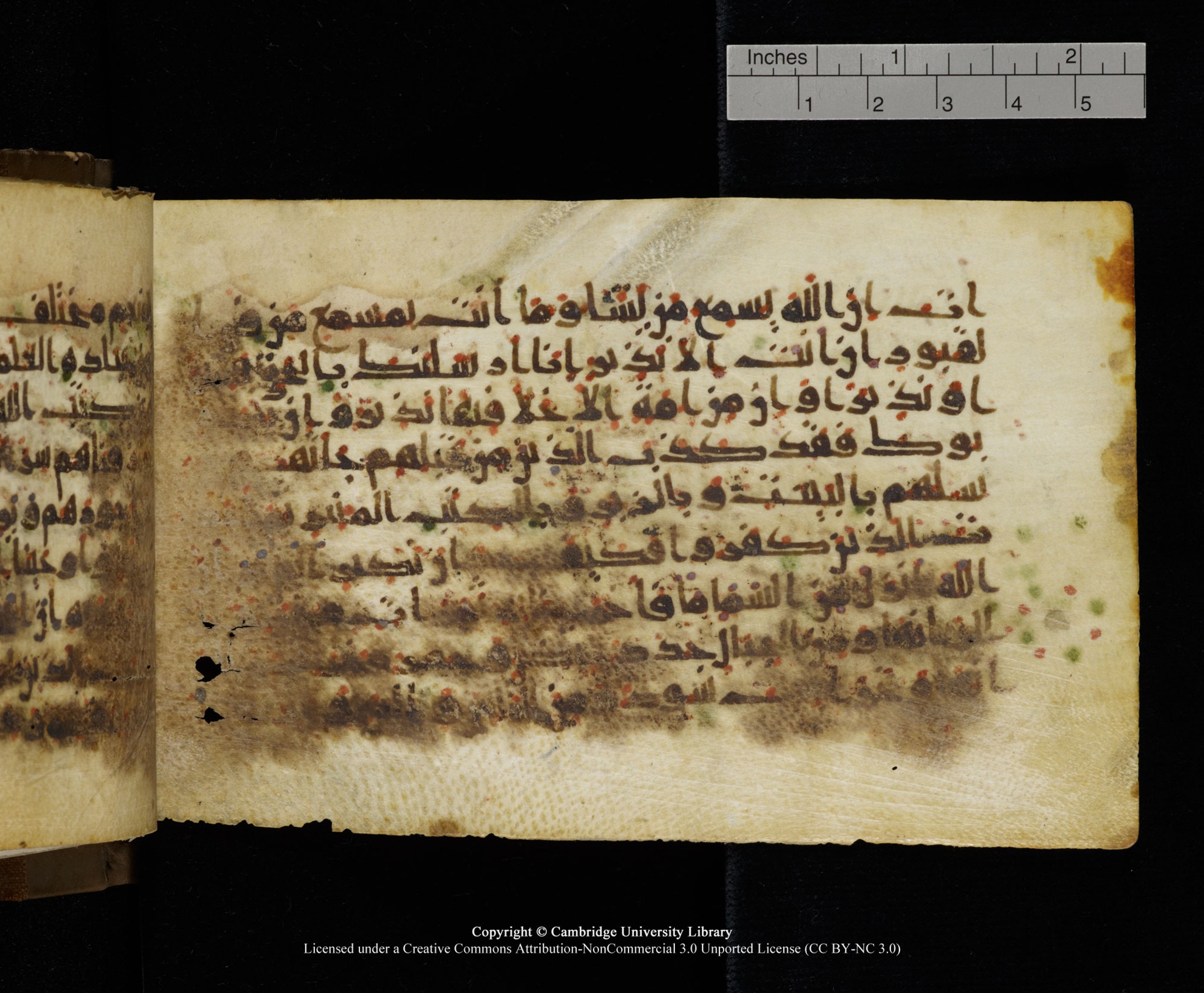 Cambridge MS Add.1137 (Scan 2), in kūfī E script, showing Surah 35:22 from 9th or 10th Century AD found in Sinai Peninsula, Egypt, currently housed at Cambridge University Library, Cambridge