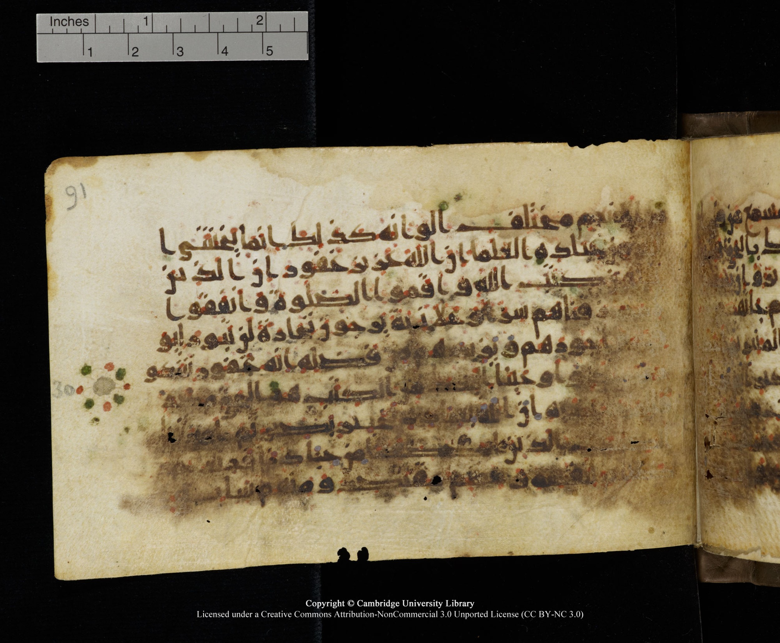 Cambridge MS Add.1137 (Scan 1), in kūfī E script, showing Surah 35:32 from 9th or 10th Century AD found in Sinai Peninsula, Egypt, currently housed at Cambridge University Library, Cambridge