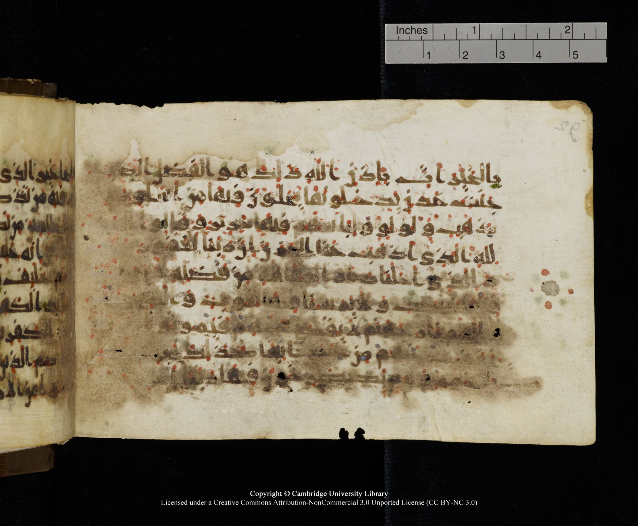 Cambridge MS Add.1137 (Scan 2), in kūfī E script, showing Surah 35:32 from 9th or 10th Century AD found in Sinai Peninsula, Egypt, currently housed at Cambridge University Library, Cambridge