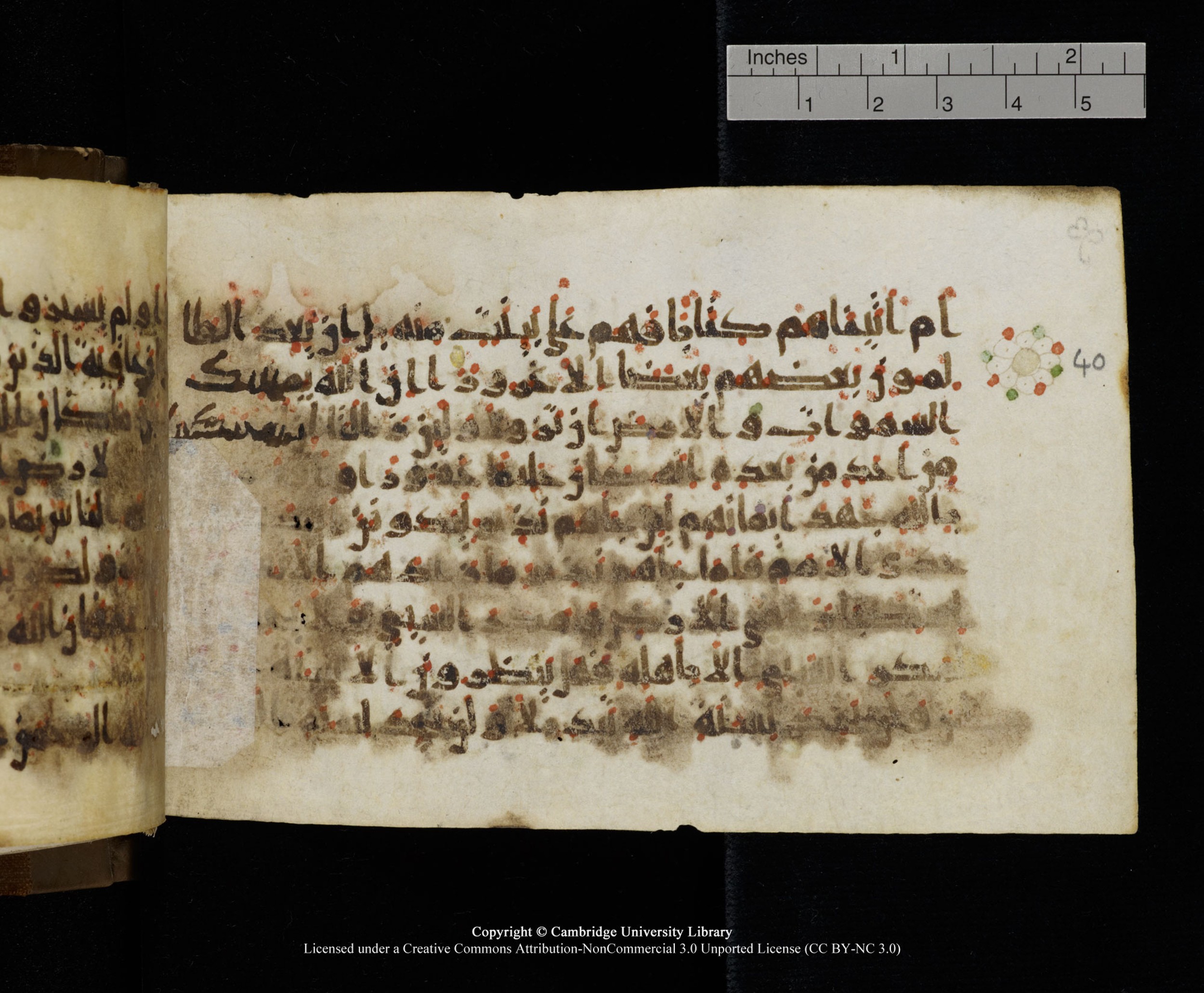 Cambridge MS Add.1137, in kūfī E script, showing Surah 35:41 from 9th or 10th Century AD found in Sinai Peninsula, Egypt, currently housed at Cambridge University Library, Cambridge