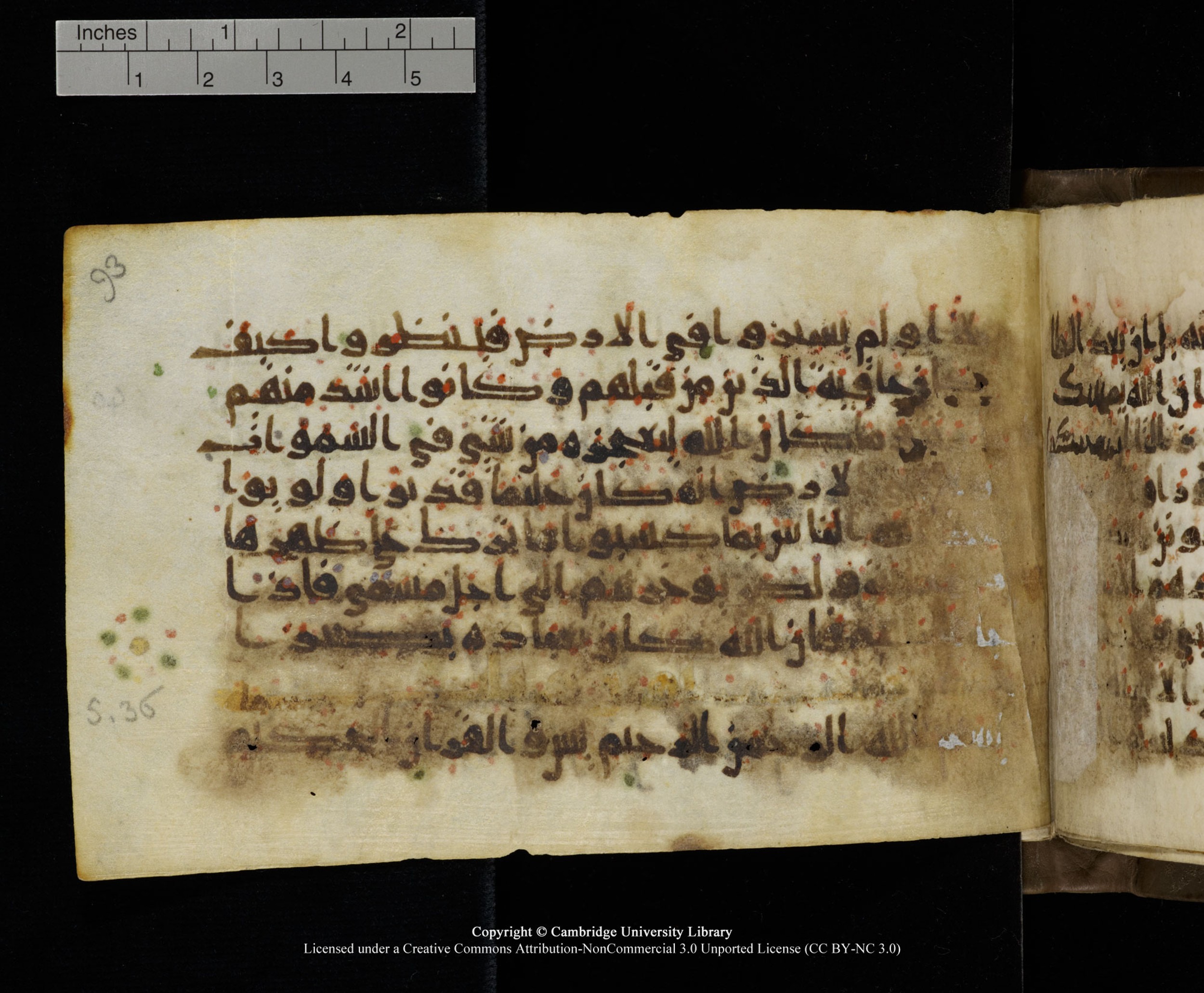 Cambridge MS Add.1137, in kūfī E script, showing Surah 35:45 from 9th or 10th Century AD found in Sinai Peninsula, Egypt, currently housed at Cambridge University Library, Cambridge