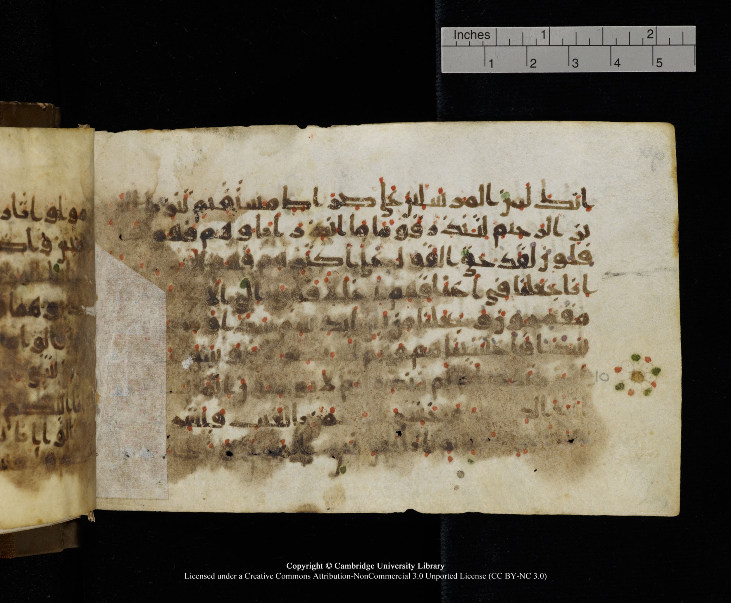 Cambridge MS Add.1137, in kūfī E script, showing Surah 36:3 from 9th or 10th Century AD found in Sinai Peninsula, Egypt, currently housed at Cambridge University Library, Cambridge