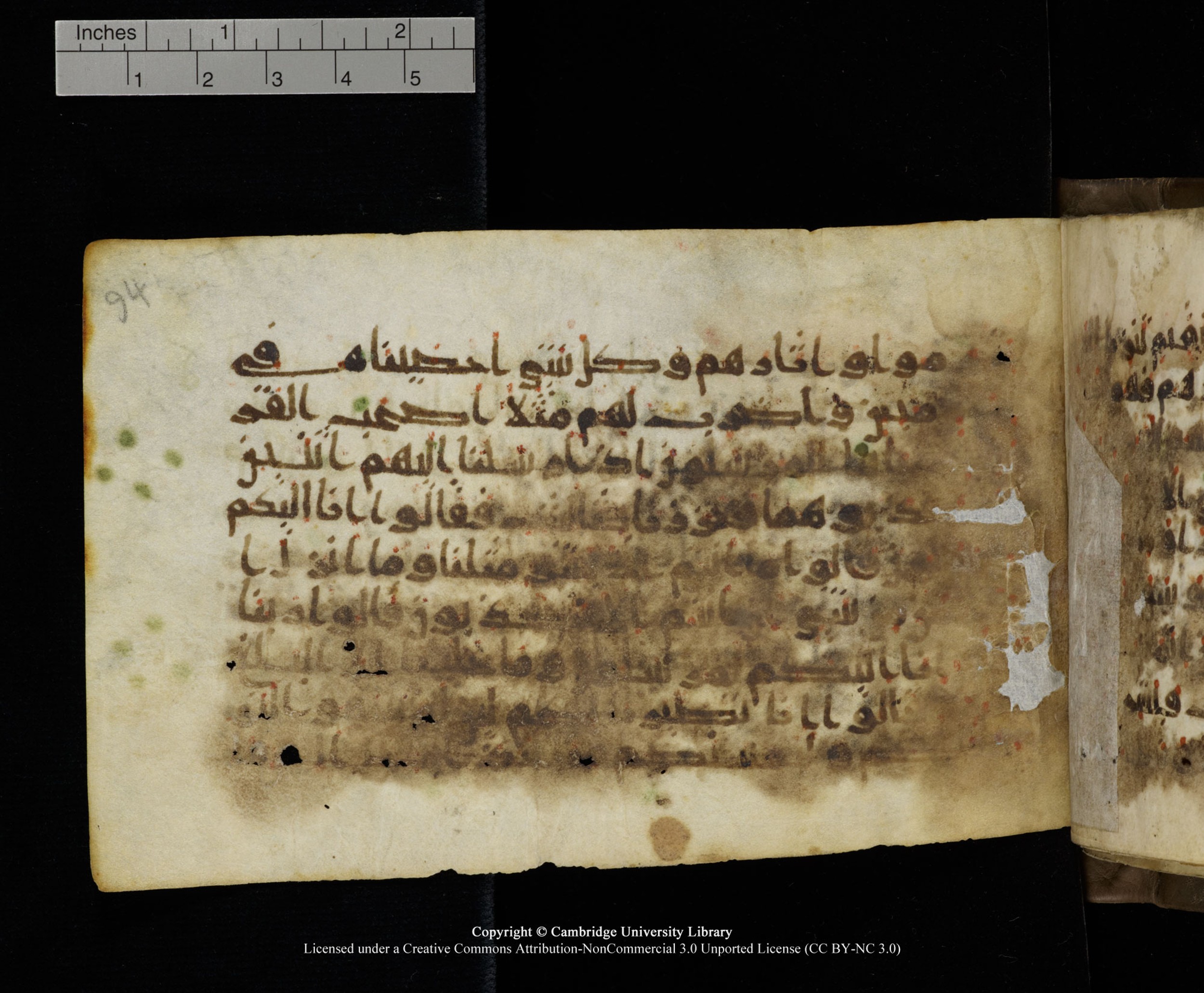 Cambridge MS Add.1137, in kūfī E script, showing Surah 36:13 from 9th or 10th Century AD found in Sinai Peninsula, Egypt, currently housed at Cambridge University Library, Cambridge