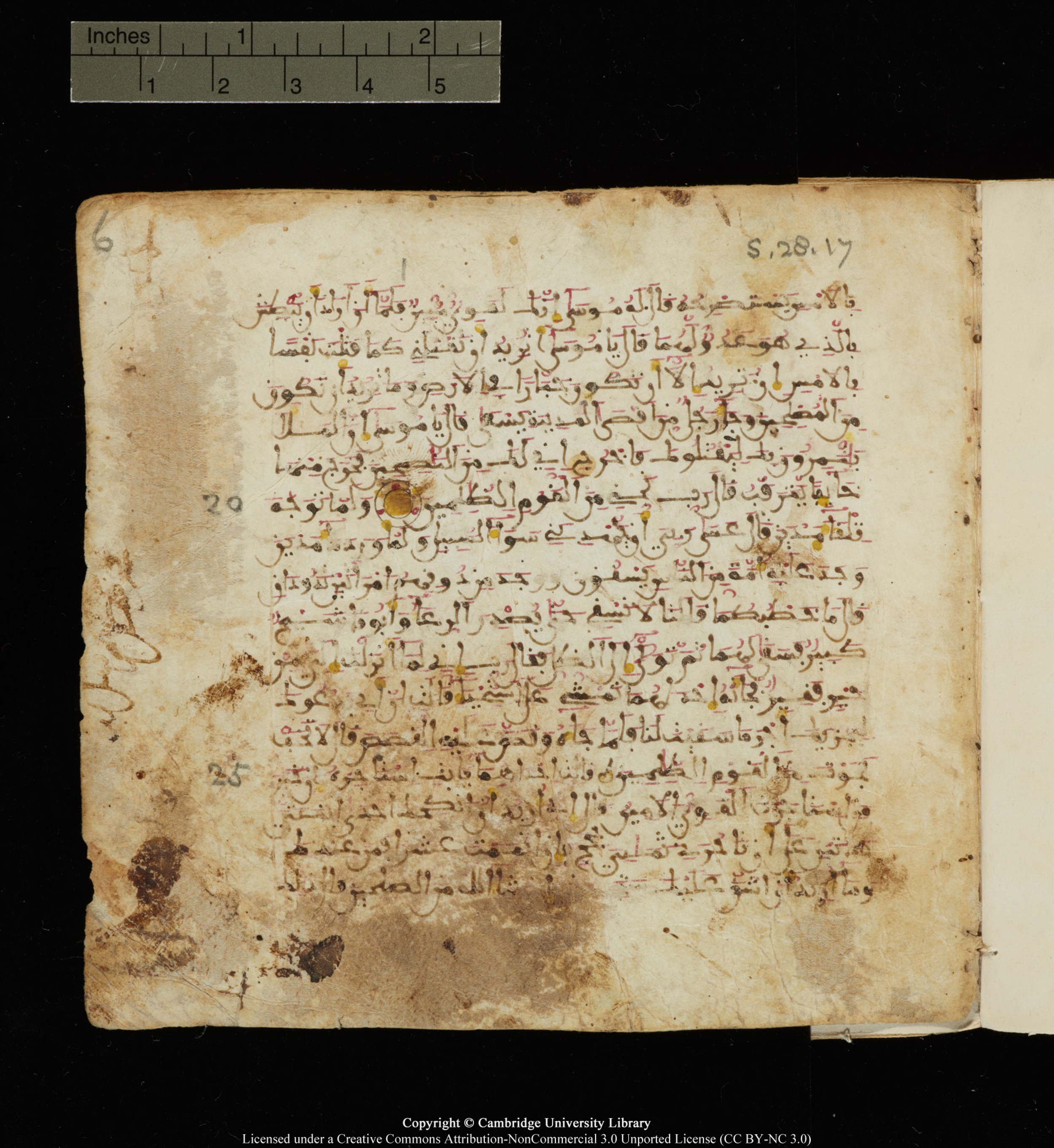 Cambridge, Cambridge University Library, MS Add.1142, in Maġribī script, showing Surah 28:23 from Late 11th to 12th Century AD found in Muslim Iberia (al-Andalus), currently housed at Cambridge University Library, Cambridge