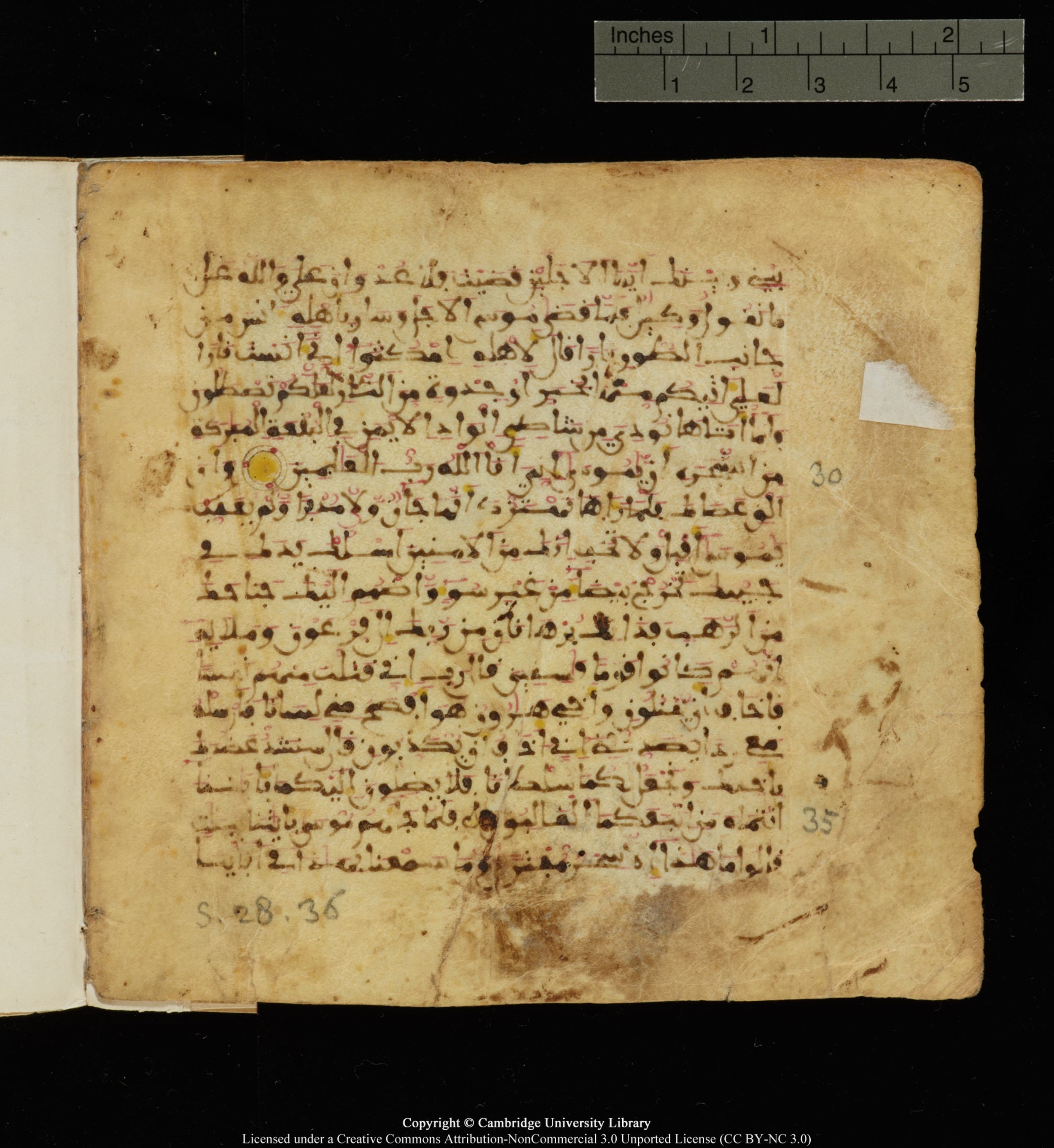 Cambridge, Cambridge University Library, MS Add.1142, in Maġribī script, showing Surah 28:32 from Late 11th to 12th Century AD found in Muslim Iberia (al-Andalus), currently housed at Cambridge University Library, Cambridge