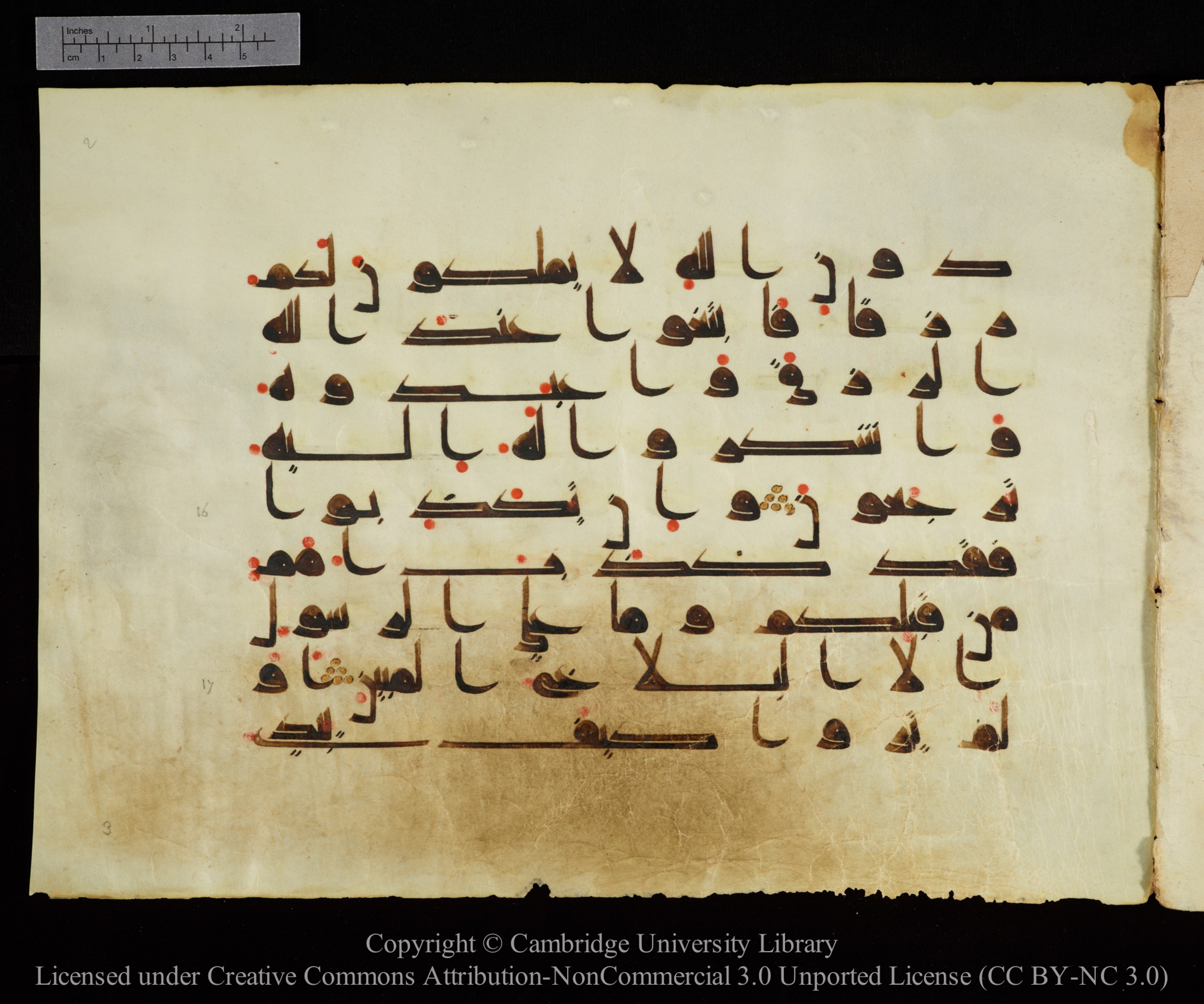 Cambridge, Cambridge University Library, MS Add.1143, in kūfī D I script, showing Surah 29:18 from 9th or 10th Century AD found in Sinai Peninsula, Egypt, currently housed at Cambridge University Library, Cambridge