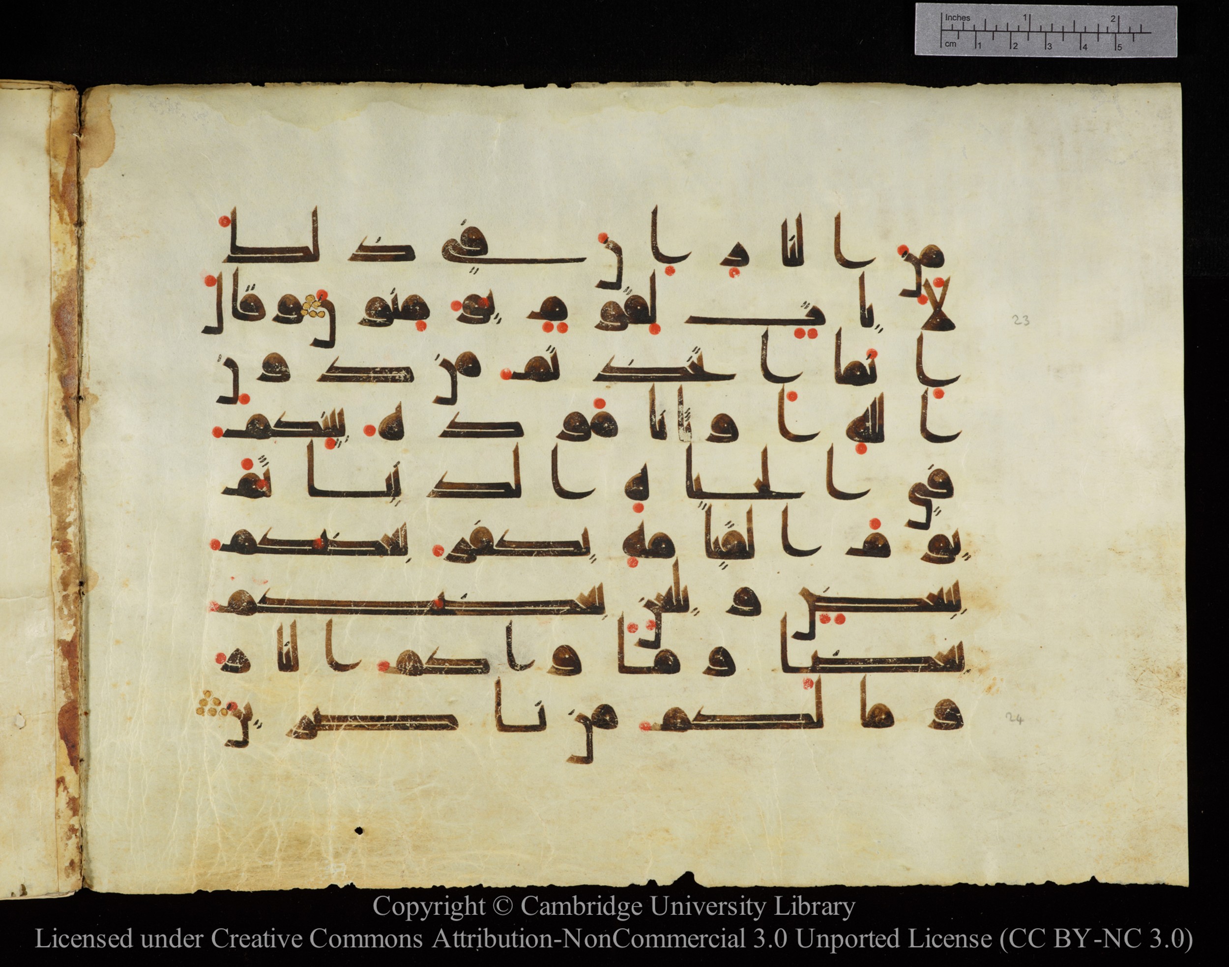 Cambridge, Cambridge University Library, MS Add.1143 (Scan 2), in kūfī D I script, showing Surah 29:24 from 9th or 10th Century AD found in Sinai Peninsula, Egypt, currently housed at Cambridge University Library, Cambridge