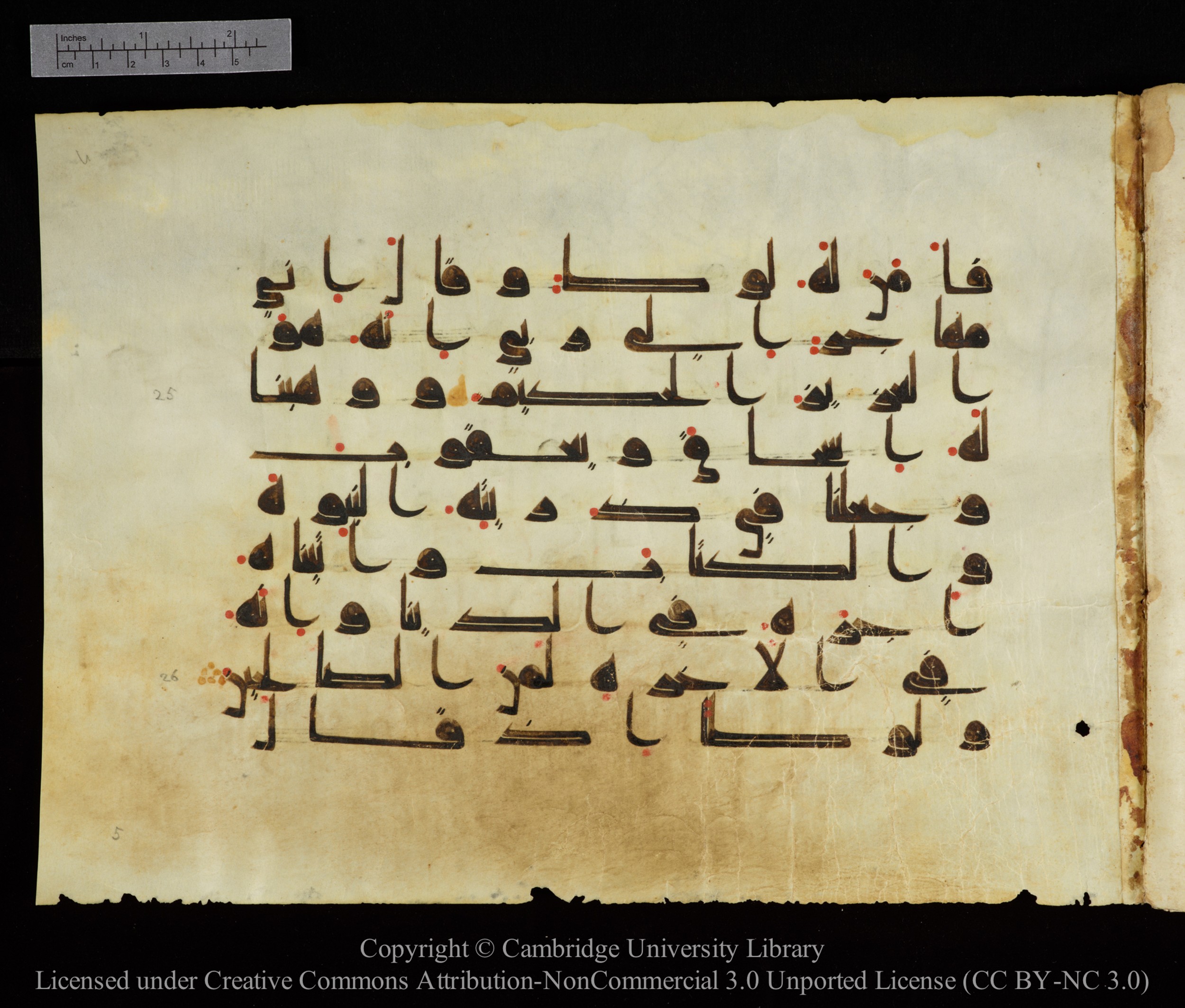 Cambridge, Cambridge University Library, MS Add.1143, in kūfī D I script, showing Surah 29:28 from 9th or 10th Century AD found in Sinai Peninsula, Egypt, currently housed at Cambridge University Library, Cambridge
