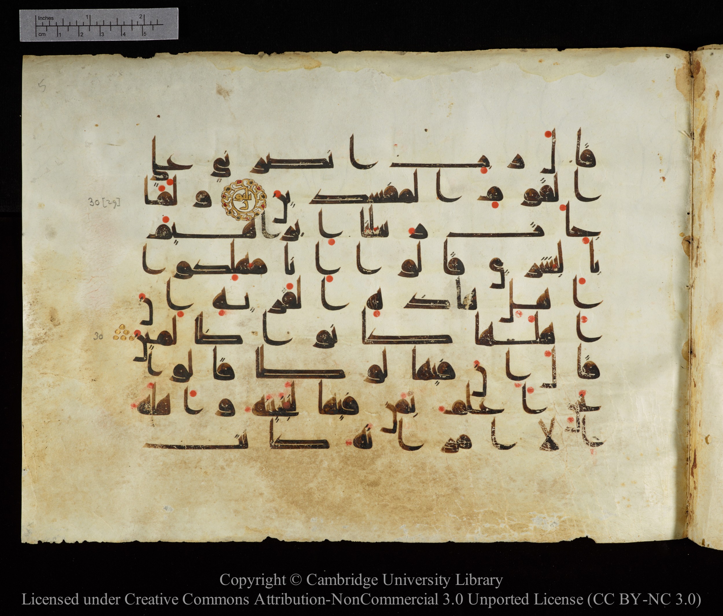 Cambridge, Cambridge University Library, MS Add.1143 (Scan 1), in kūfī D I script, showing Surah 29:32 from 9th or 10th Century AD found in Sinai Peninsula, Egypt, currently housed at Cambridge University Library, Cambridge