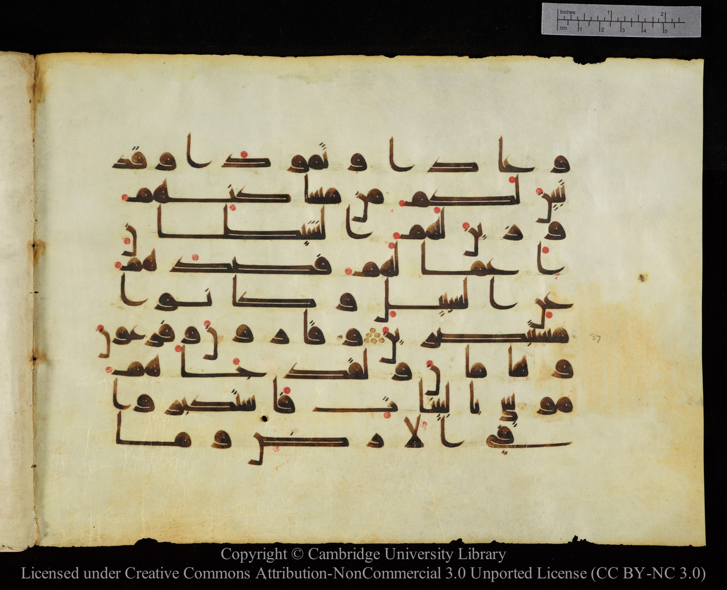 Cambridge, Cambridge University Library, MS Add.1143 (Scan 1), in kūfī D I script, showing Surah 29:39 from 9th or 10th Century AD found in Sinai Peninsula, Egypt, currently housed at Cambridge University Library, Cambridge